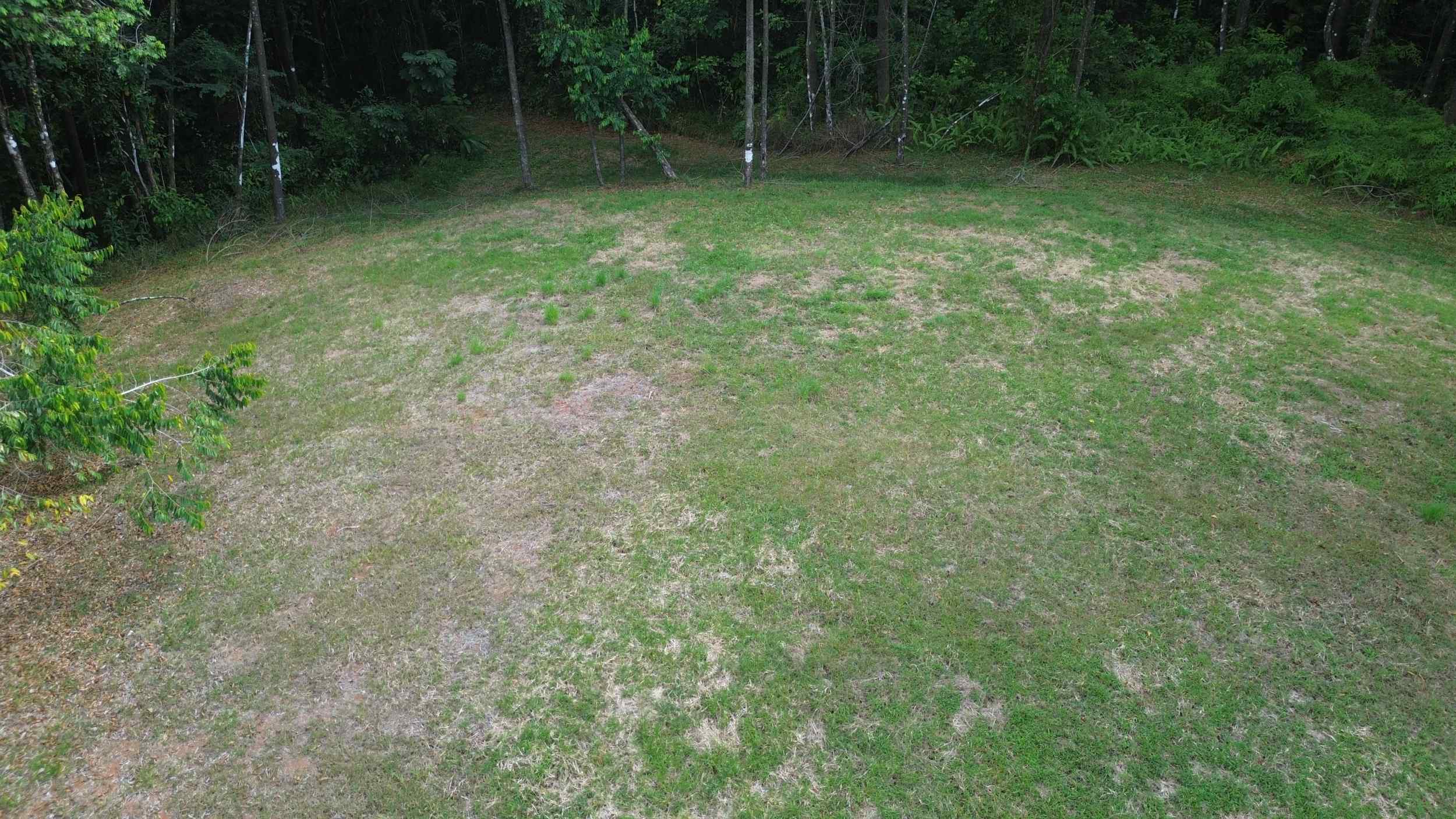 72346-5 Tranquil Jungle View Building Lot with Ocean Glimpses in Dominical Costa Rica