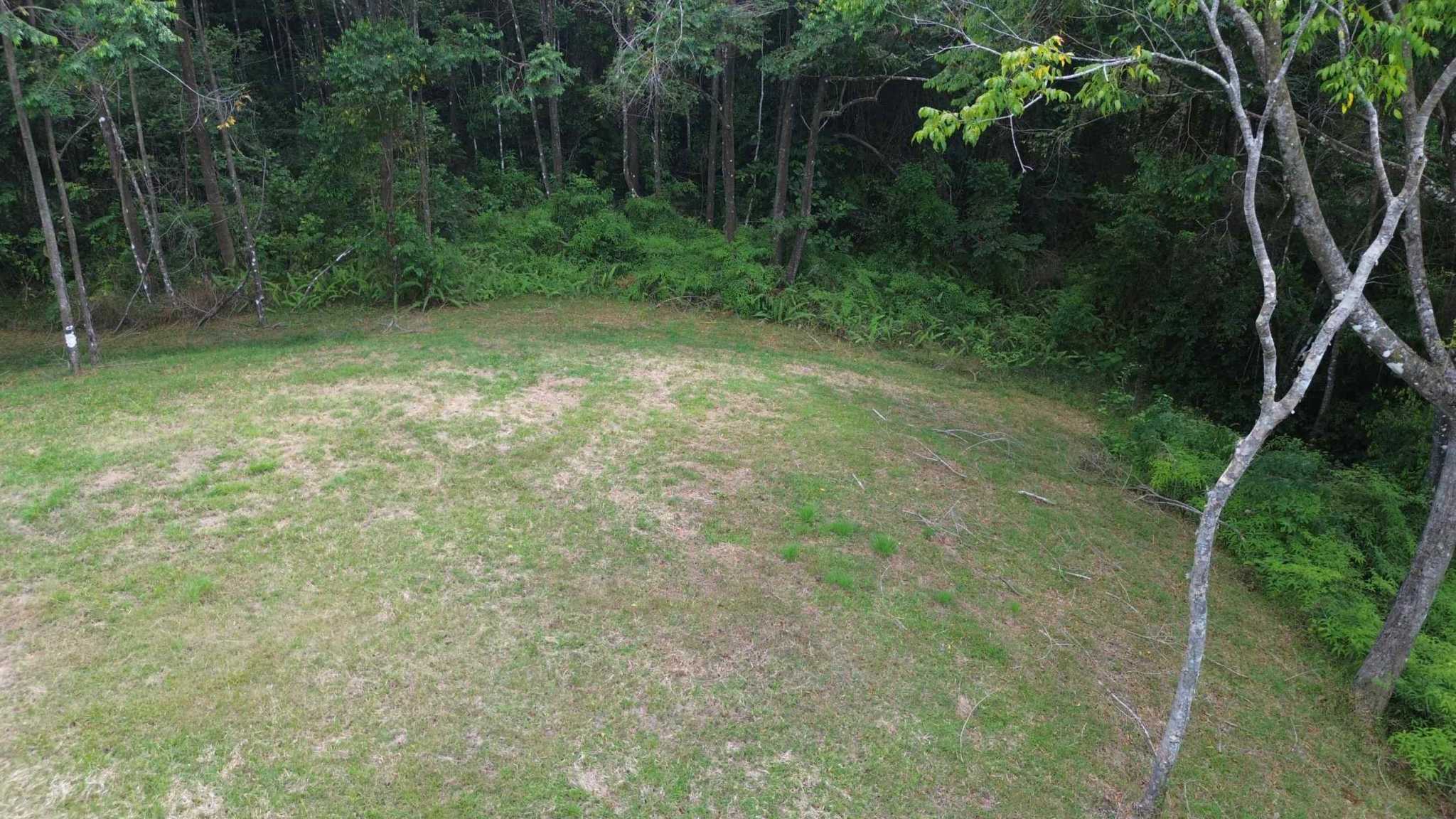 Tranquil Jungle View Building Lot with Ocean Glimpses in Dominical Costa Rica