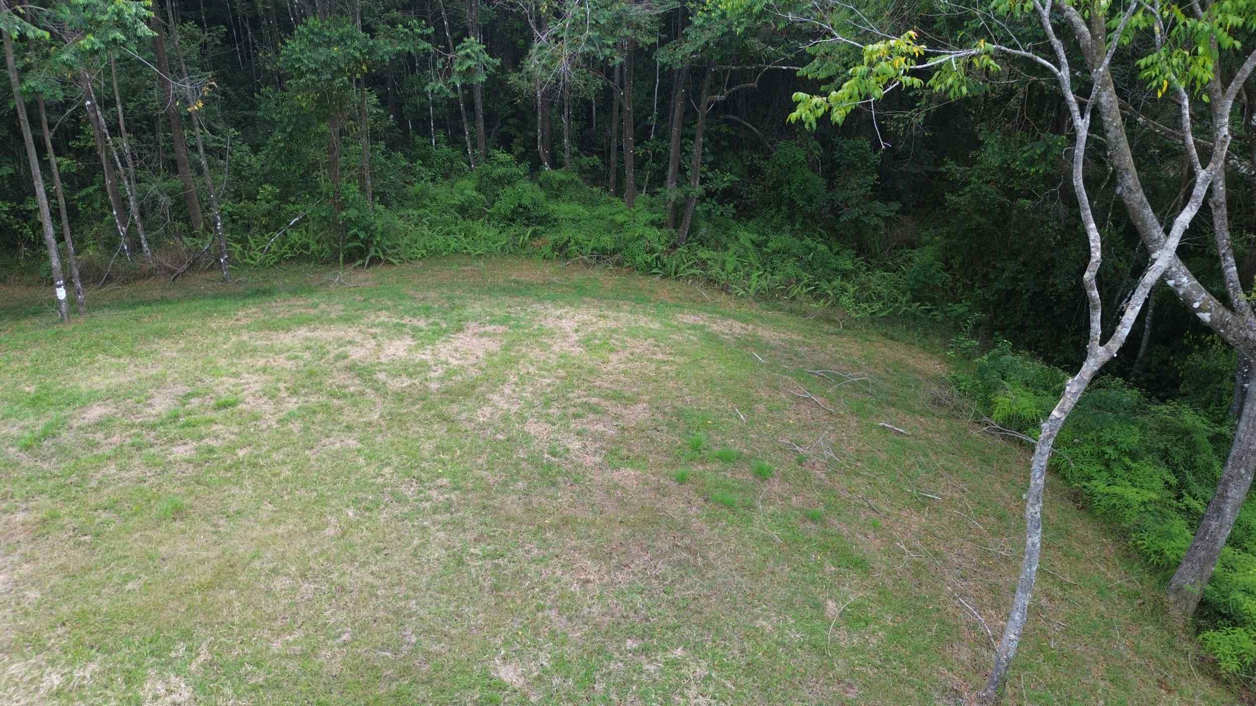 72346-6 Tranquil Jungle View Building Lot with Ocean Glimpses in Dominical Costa Rica