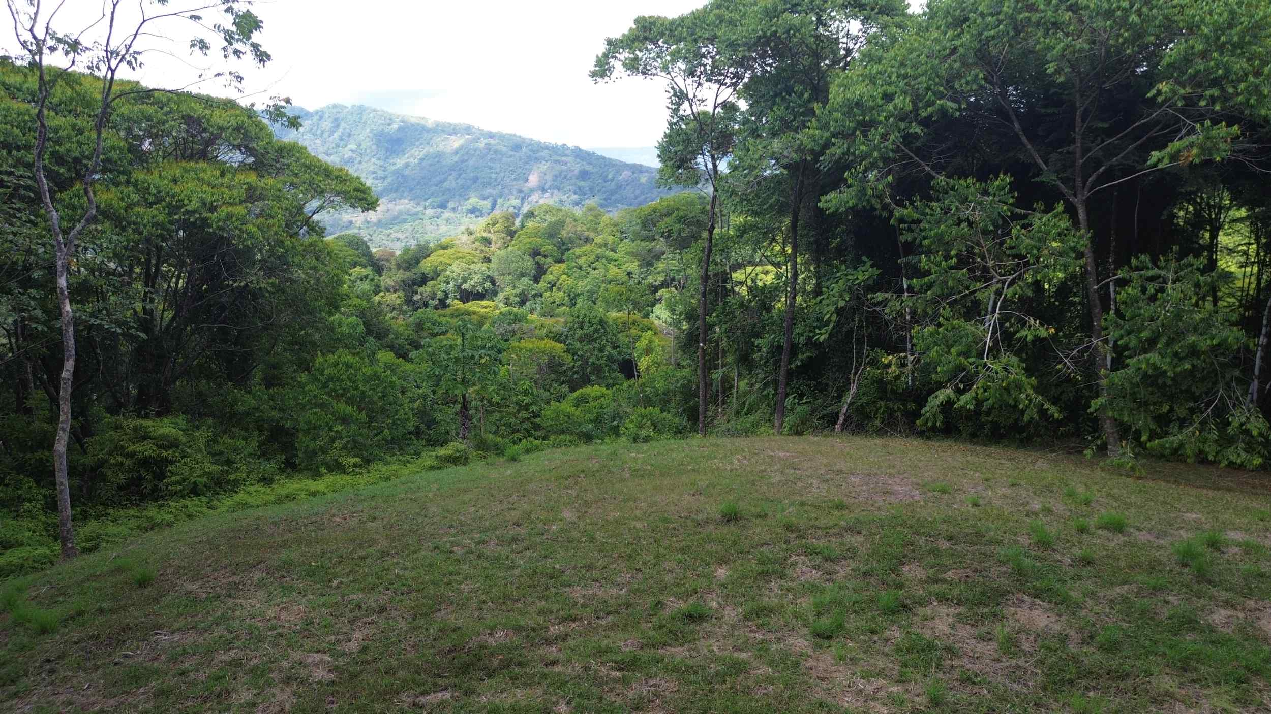 72346-7 Tranquil Jungle View Building Lot with Ocean Glimpses in Dominical Costa Rica