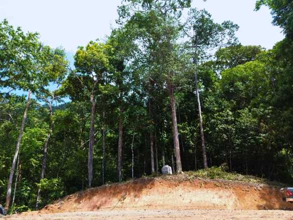 Spectacular Ocean View Nearly 14-Acre Building Lot with Legal Water in Uvita Costa Rica