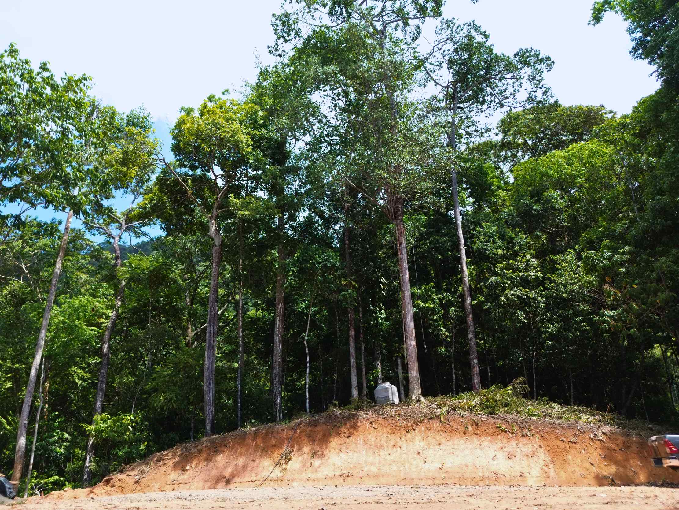Spectacular Ocean View Nearly 14-Acre Building Lot with Legal Water in Uvita Costa Rica