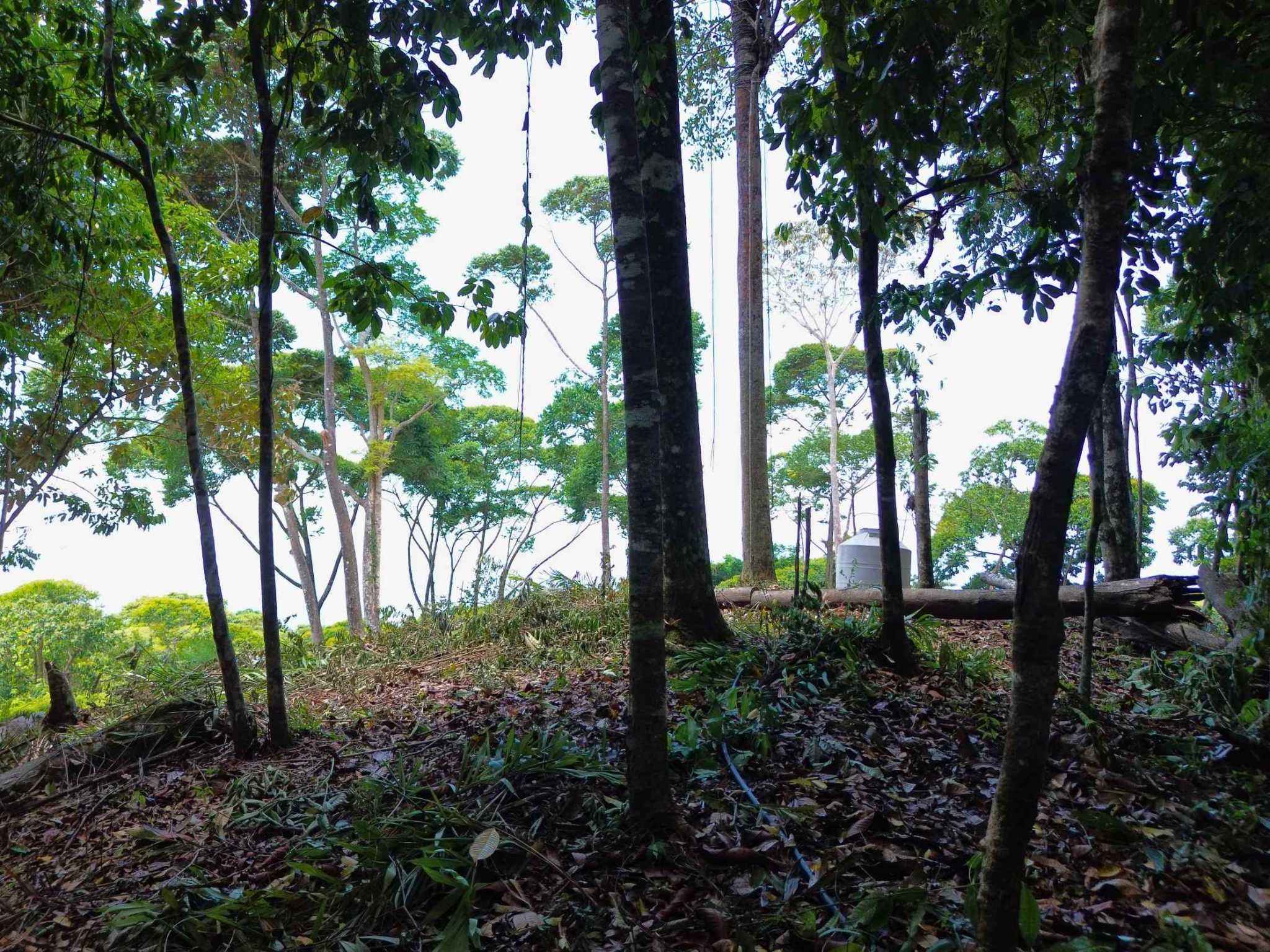 Spectacular Ocean View Nearly 14-Acre Building Lot with Legal Water in Uvita Costa Rica