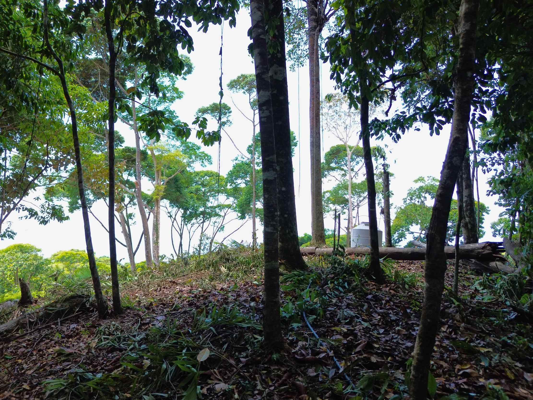 Spectacular Ocean View Nearly 14-Acre Building Lot with Legal Water in Uvita Costa Rica