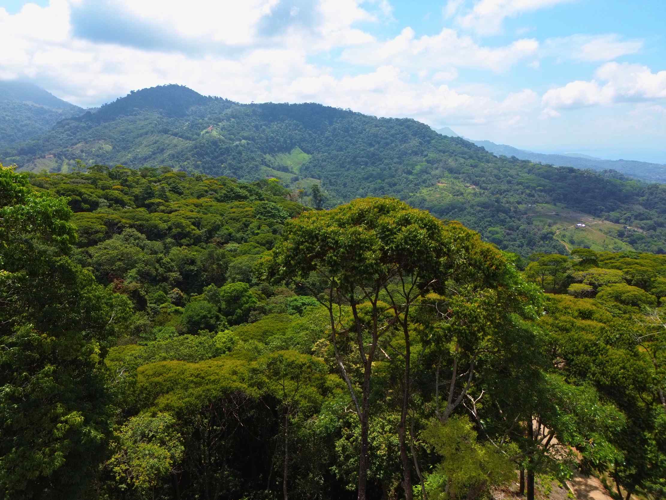 Spectacular Ocean View Nearly 14-Acre Building Lot with Legal Water in Uvita Costa Rica