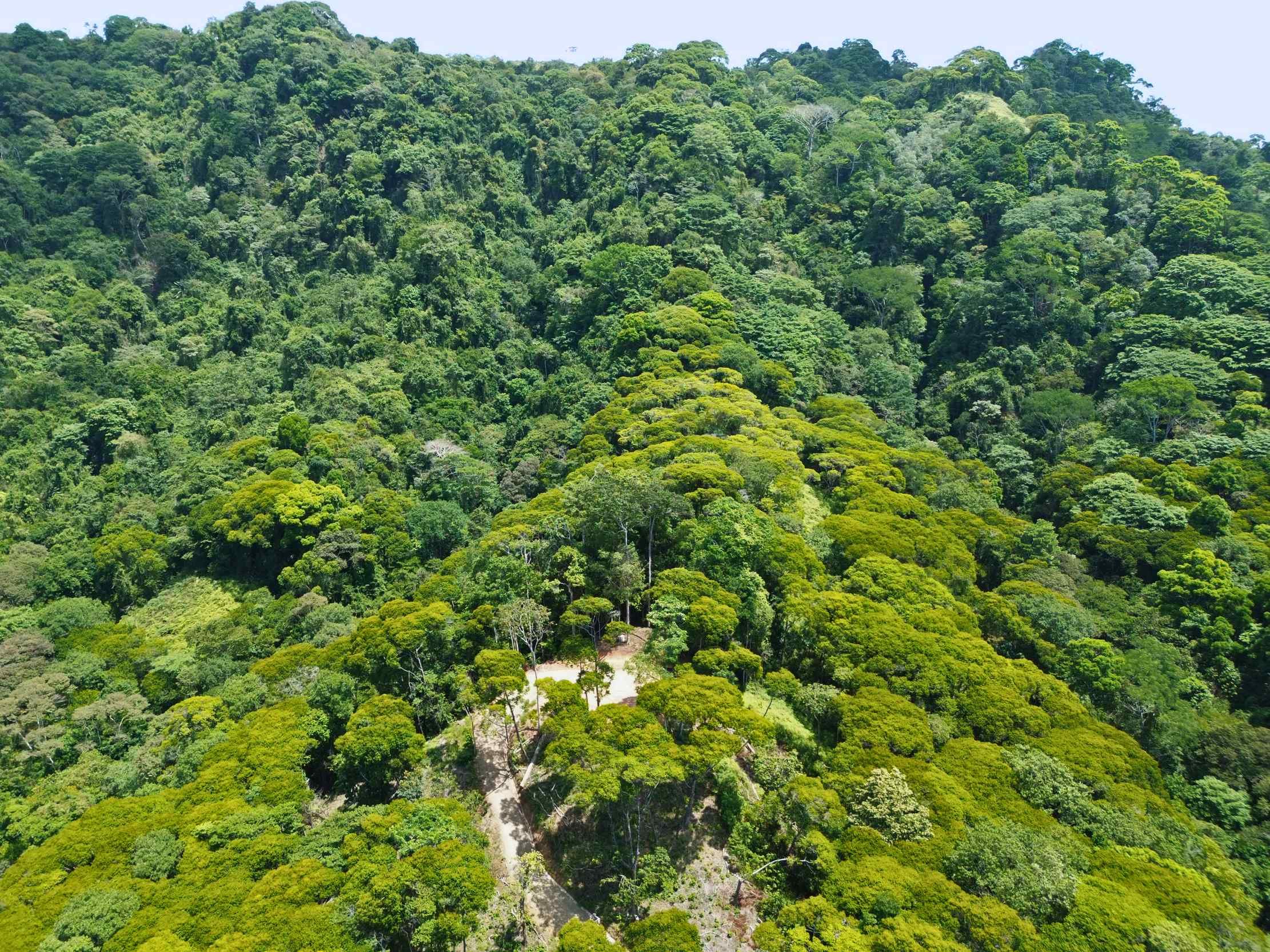 Spectacular Ocean View Nearly 14-Acre Building Lot with Legal Water in Uvita Costa Rica