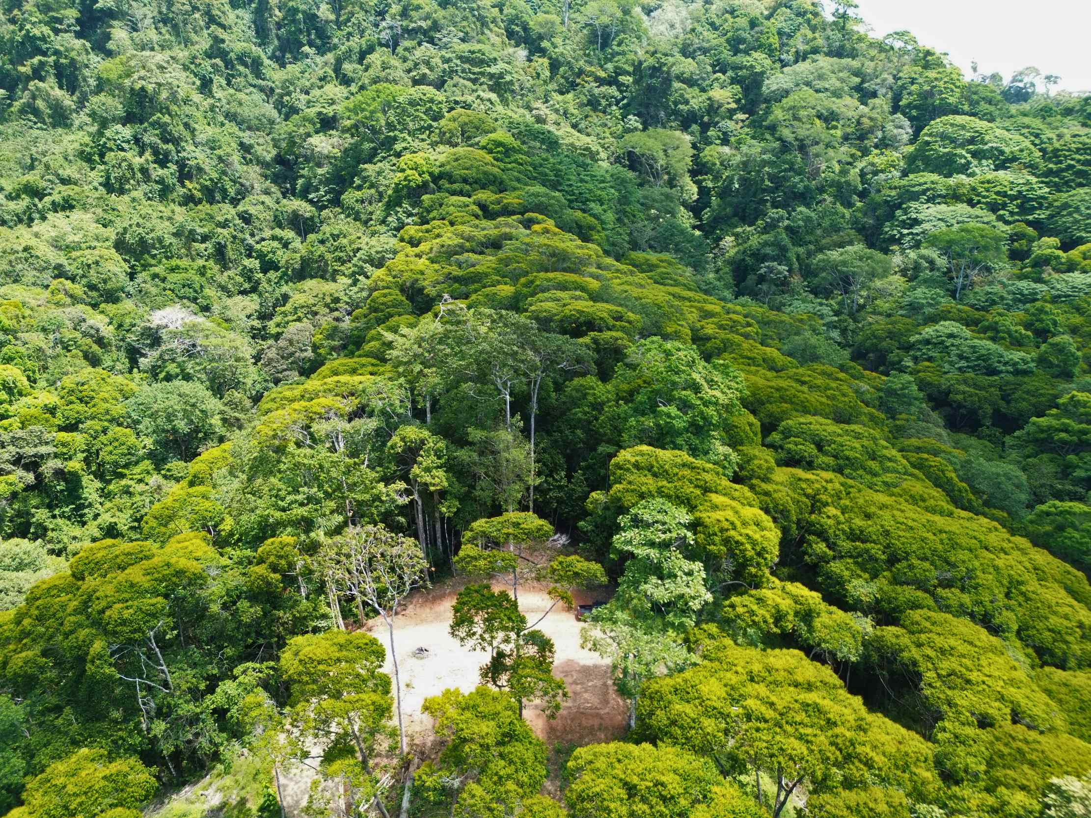 Spectacular Ocean View Nearly 14-Acre Building Lot with Legal Water in Uvita Costa Rica