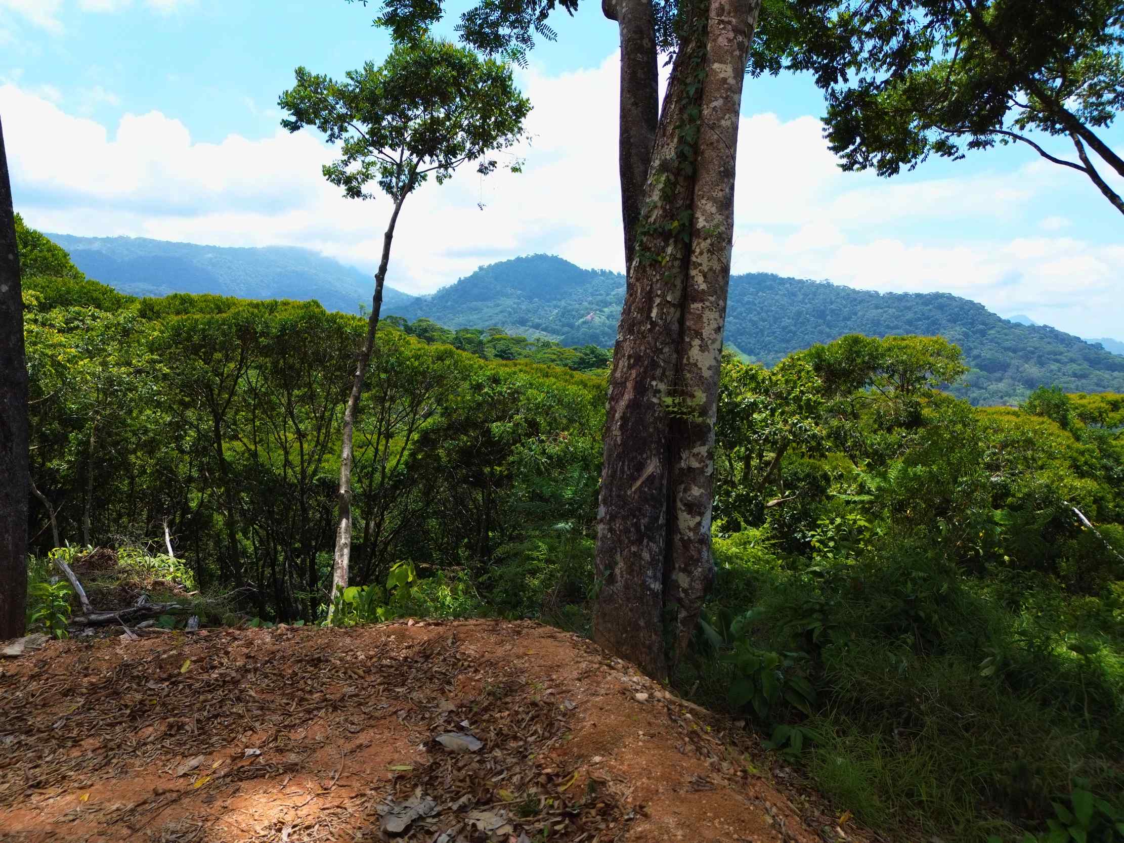 Spectacular Ocean View Nearly 14-Acre Building Lot with Legal Water in Uvita Costa Rica