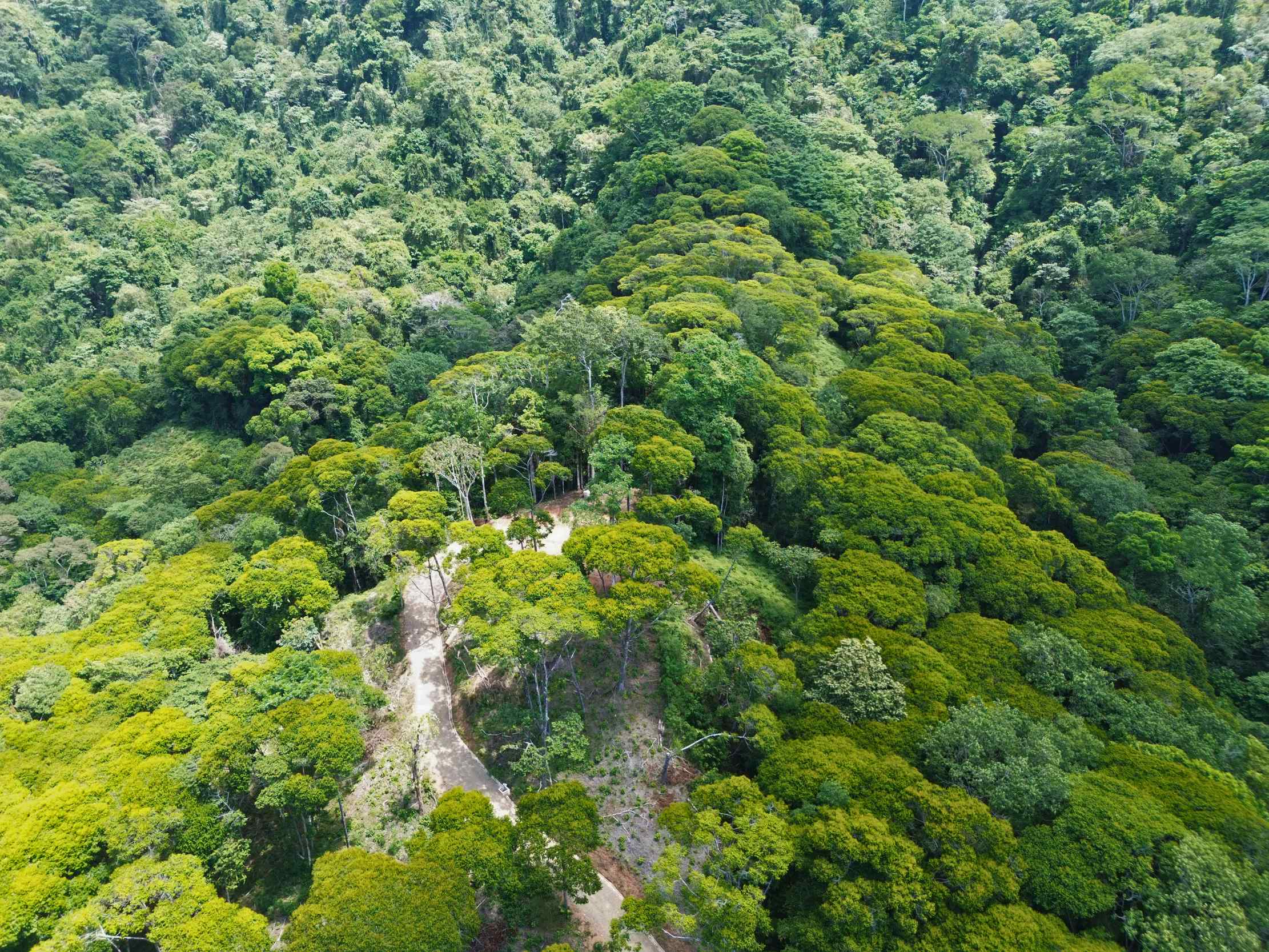Spectacular Ocean View Nearly 14-Acre Building Lot with Legal Water in Uvita Costa Rica