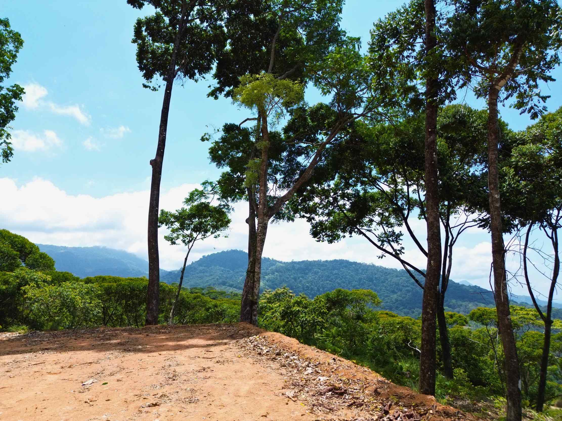 Spectacular Ocean View Nearly 14-Acre Building Lot with Legal Water in Uvita Costa Rica