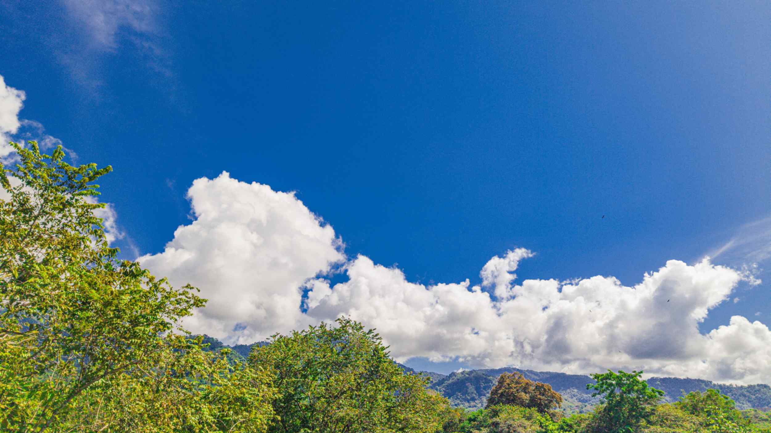 72623-11 Charming 2-Bedroom Home with Mountain Views & Swimming Pool in Ojochal Costa Rica