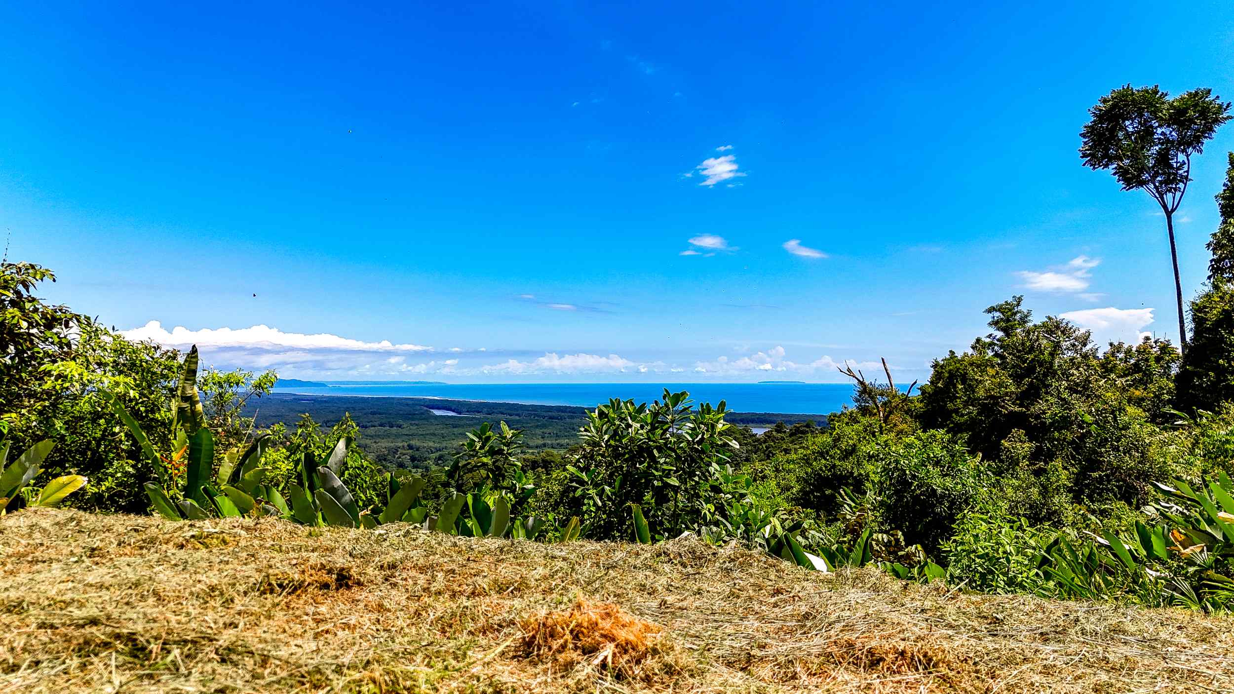 Breathtaking Ocean and Mountain View Two-Acre Building Lot with Legal Water in Tres Rios Costa Rica