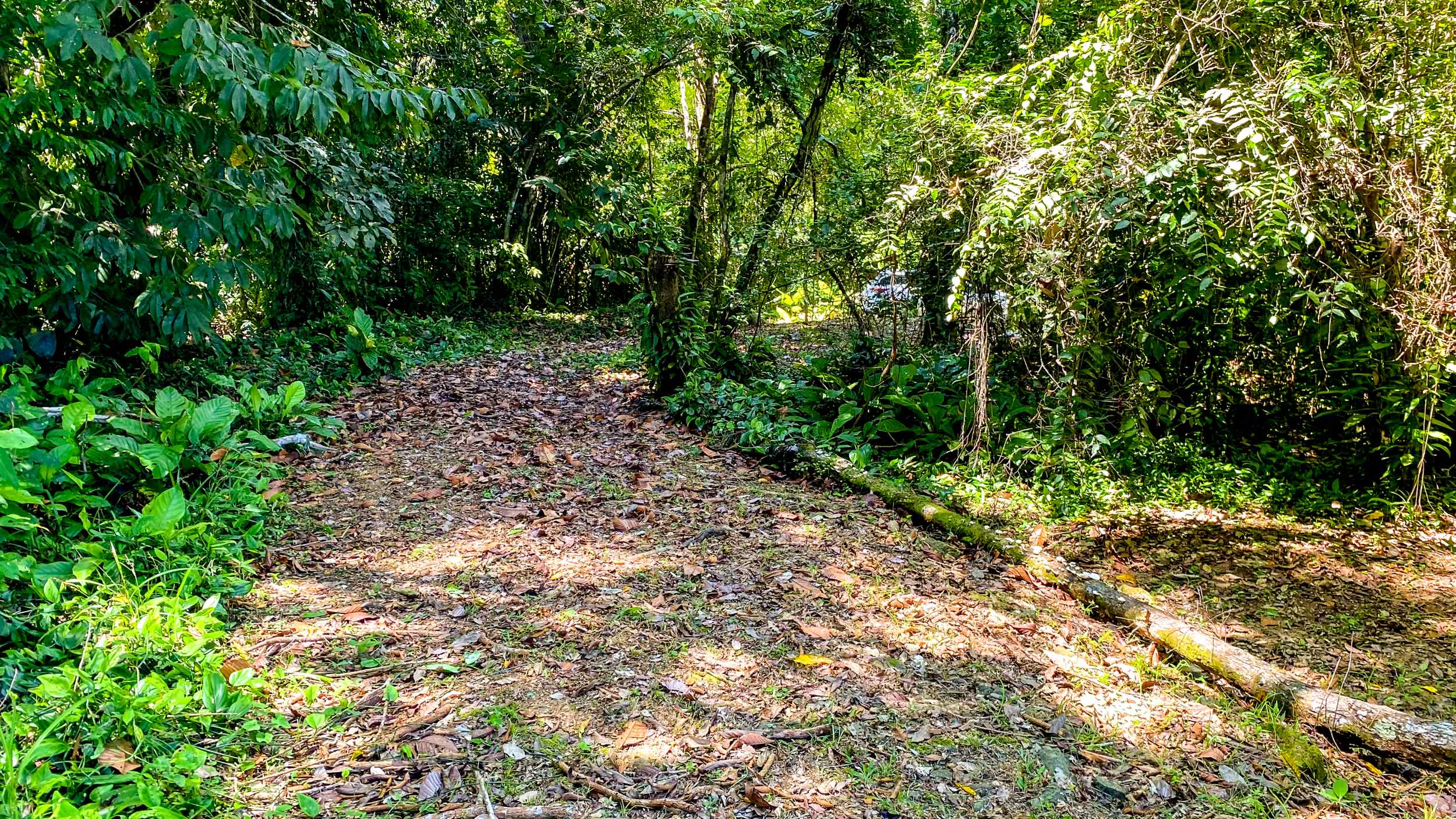 Breathtaking Ocean and Mountain View Two-Acre Building Lot with Legal Water in Tres Rios Costa Rica