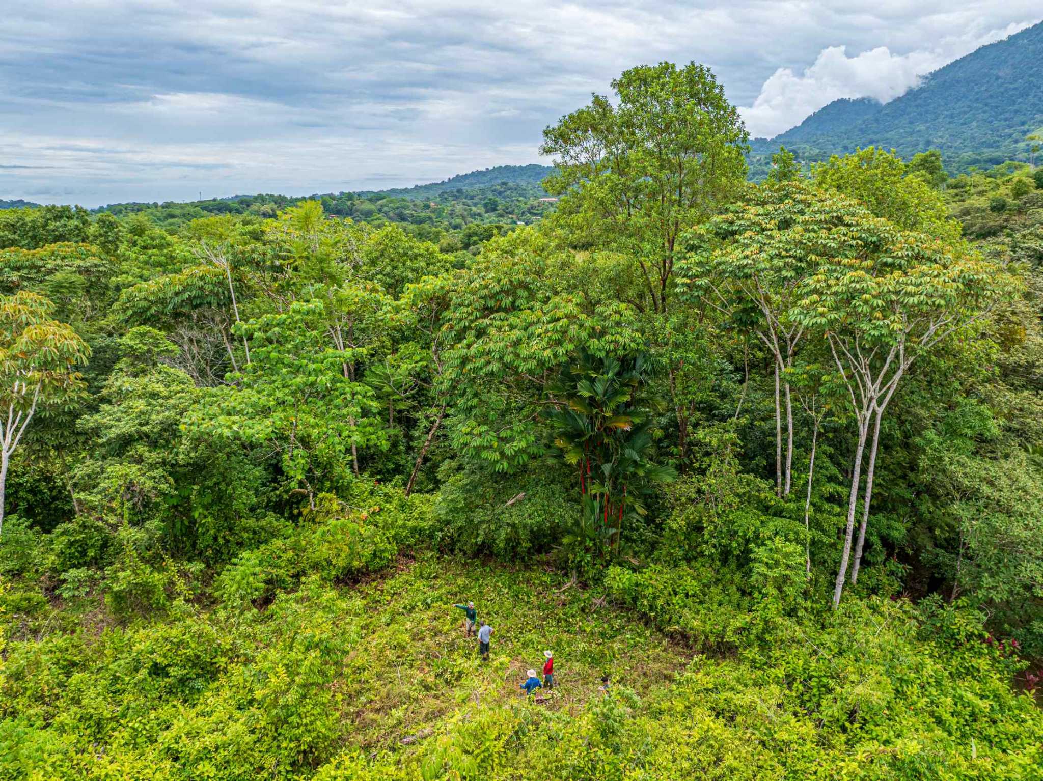 73034-9 Luxurious 5-Bedroom Rainforest Estate with Pool & Guest House in Ojochal Costa Rica