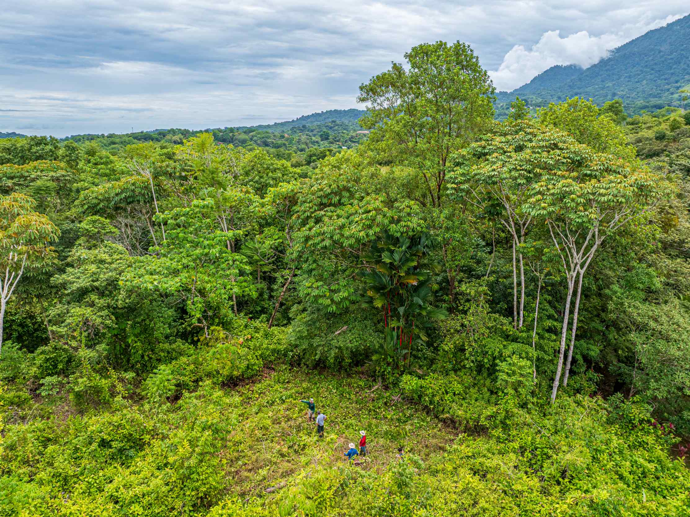 73034-9 Luxurious 5-Bedroom Rainforest Estate with Pool & Guest House in Ojochal Costa Rica