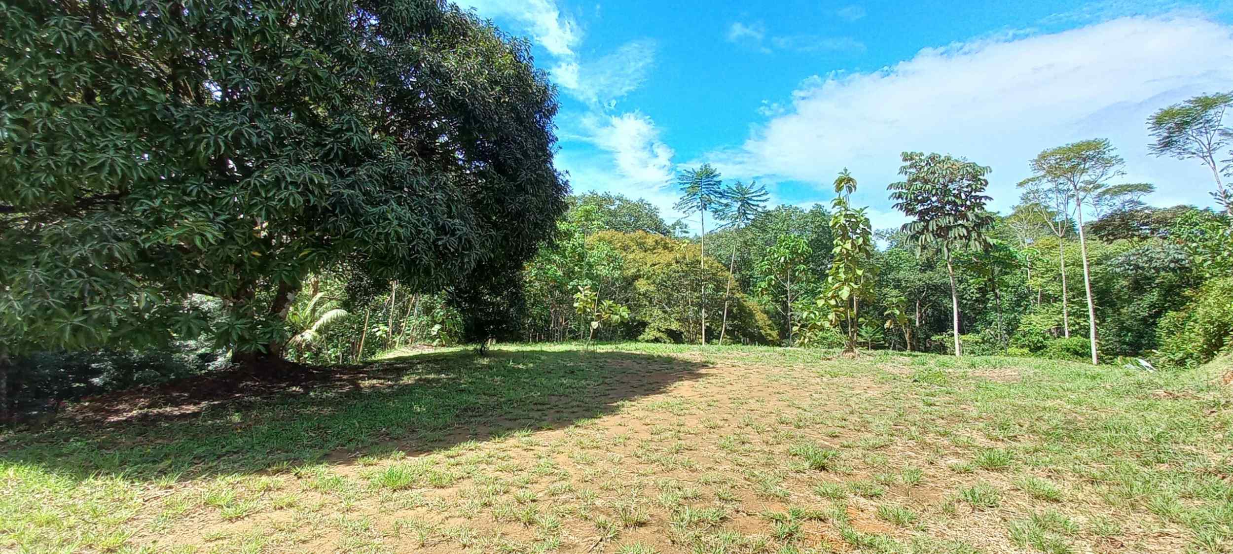 73034-22 Luxurious 5-Bedroom Rainforest Estate with Pool & Guest House in Ojochal Costa Rica