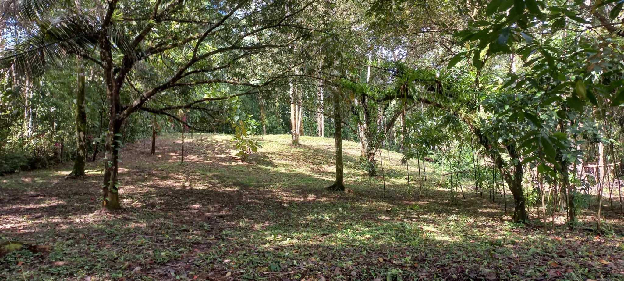 73034-27 Luxurious 5-Bedroom Rainforest Estate with Pool & Guest House in Ojochal Costa Rica
