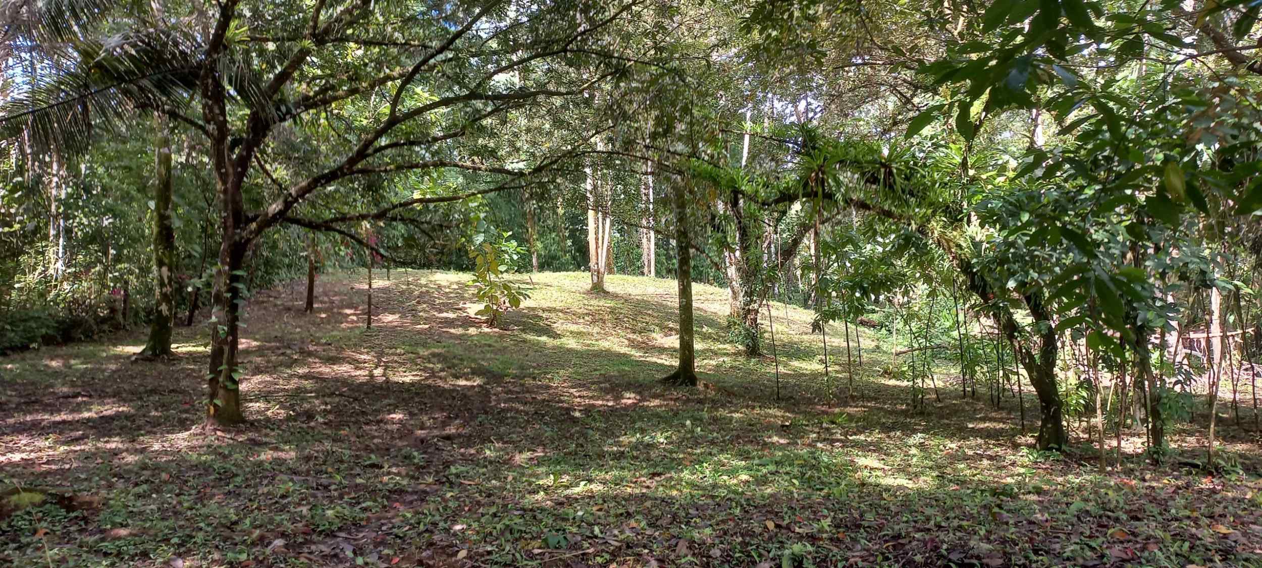 73034-27 Luxurious 5-Bedroom Rainforest Estate with Pool & Guest House in Ojochal Costa Rica
