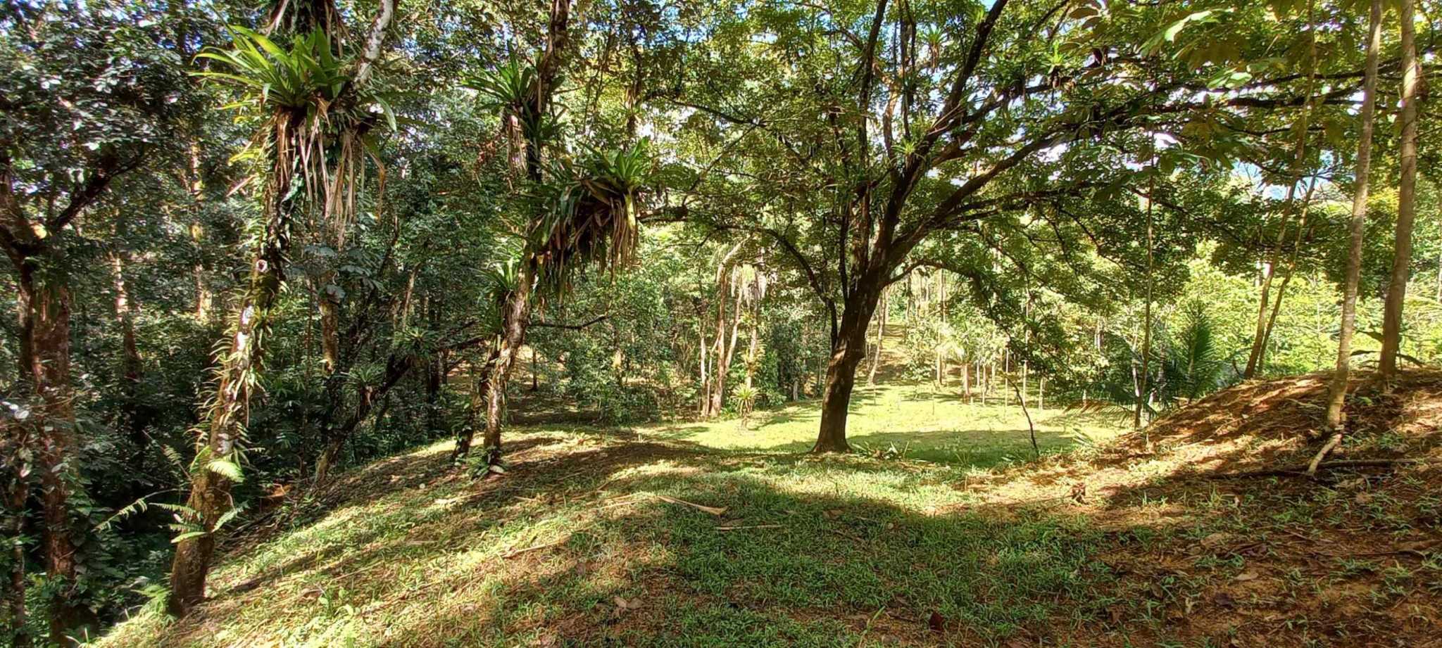 73034-28 Luxurious 5-Bedroom Rainforest Estate with Pool & Guest House in Ojochal Costa Rica