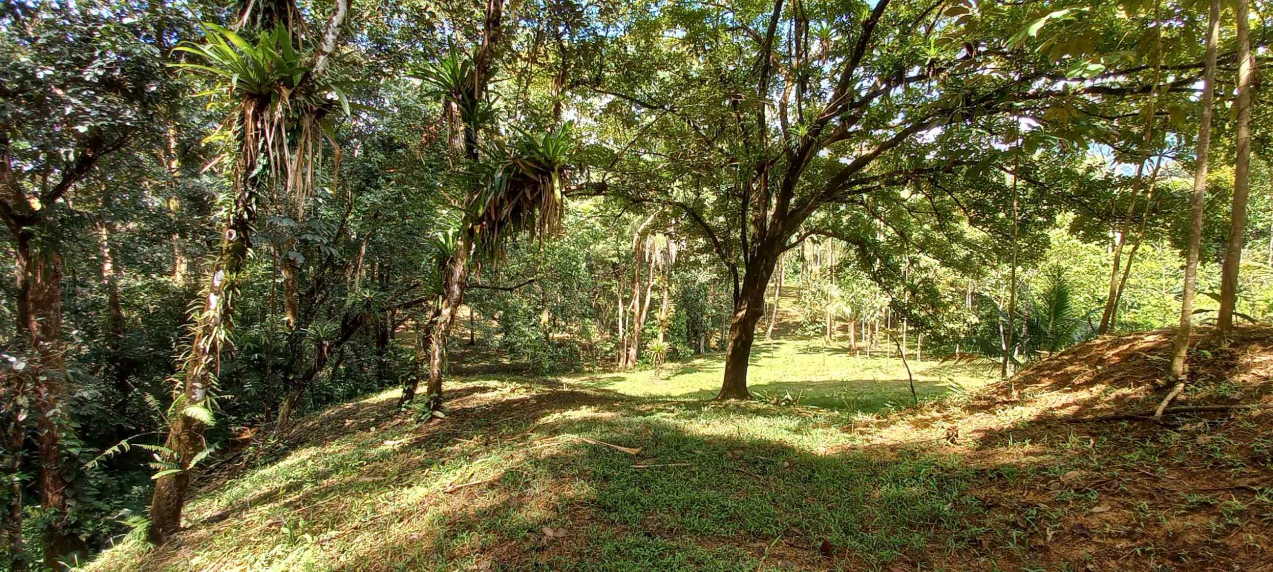 73034-28 Luxurious 5-Bedroom Rainforest Estate with Pool & Guest House in Ojochal Costa Rica