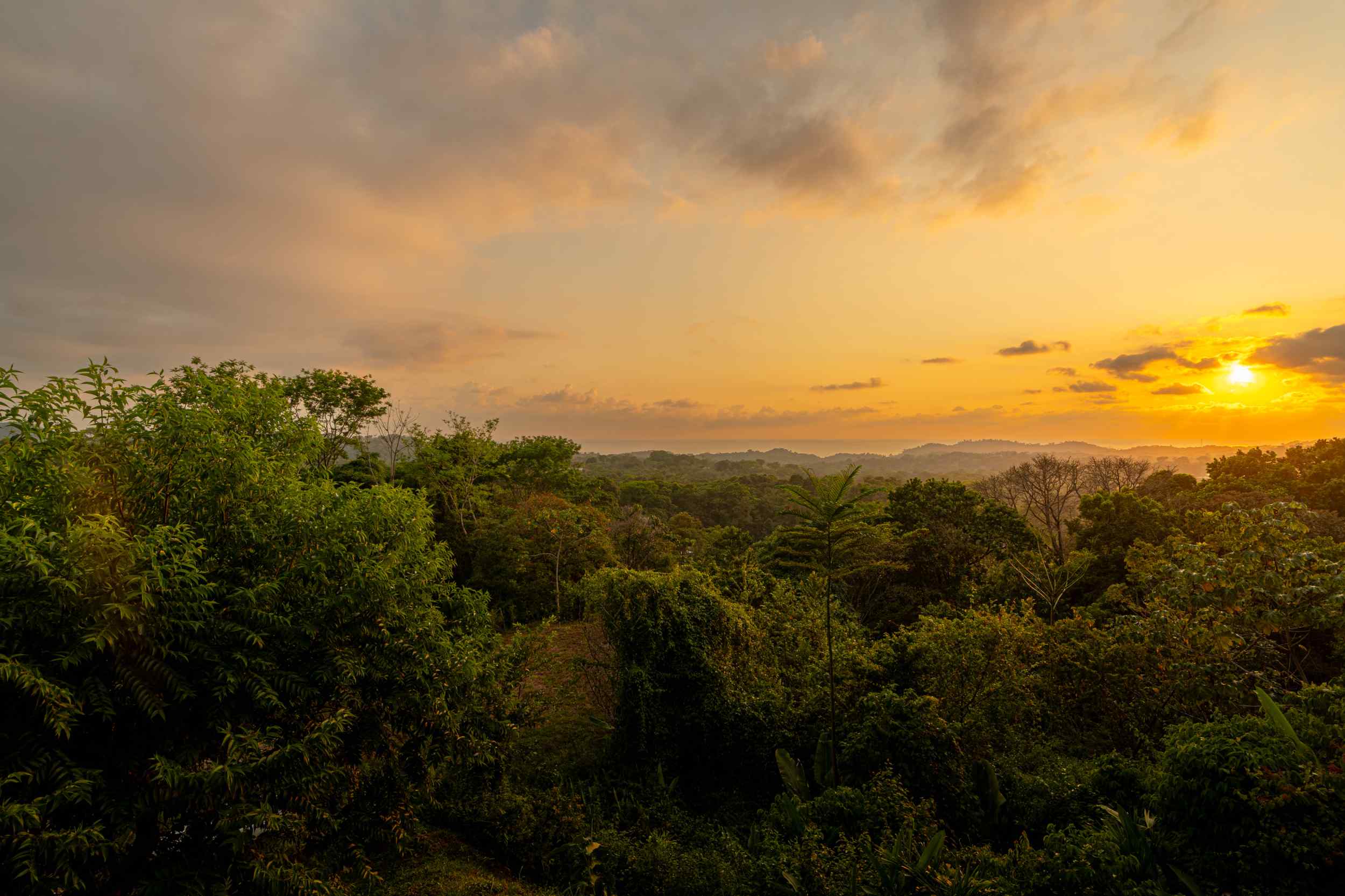 73054-1 Luxury Ocean-View 3-Bedroom Home with Private Pool & Sunset Views in Ojochal Costa Rica