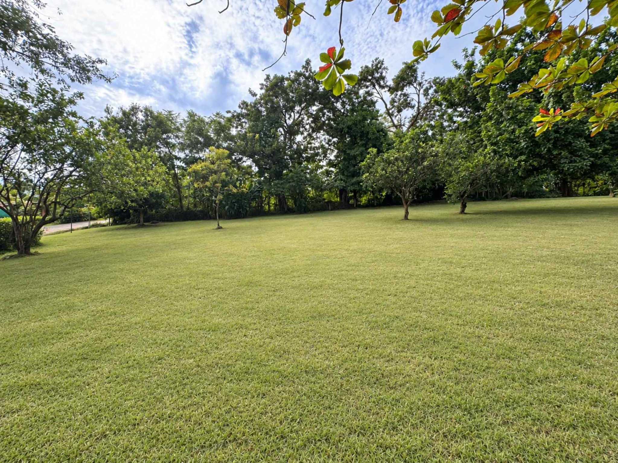 Expansive Nearly Three-Quarter-Acre Flat Building Lot in Ojochal Costa Rica