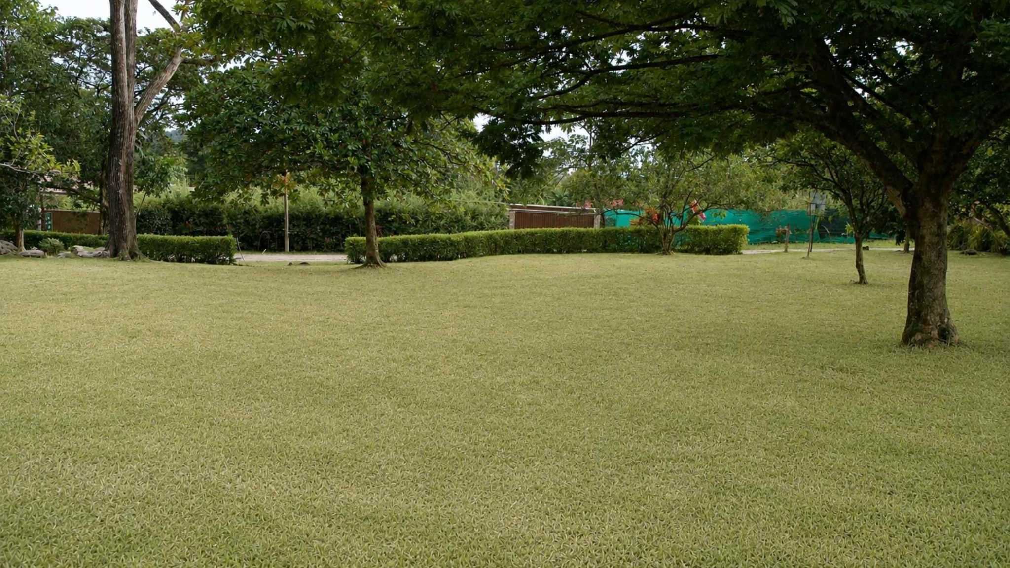 Expansive Nearly Three-Quarter-Acre Flat Building Lot in Ojochal Costa Rica