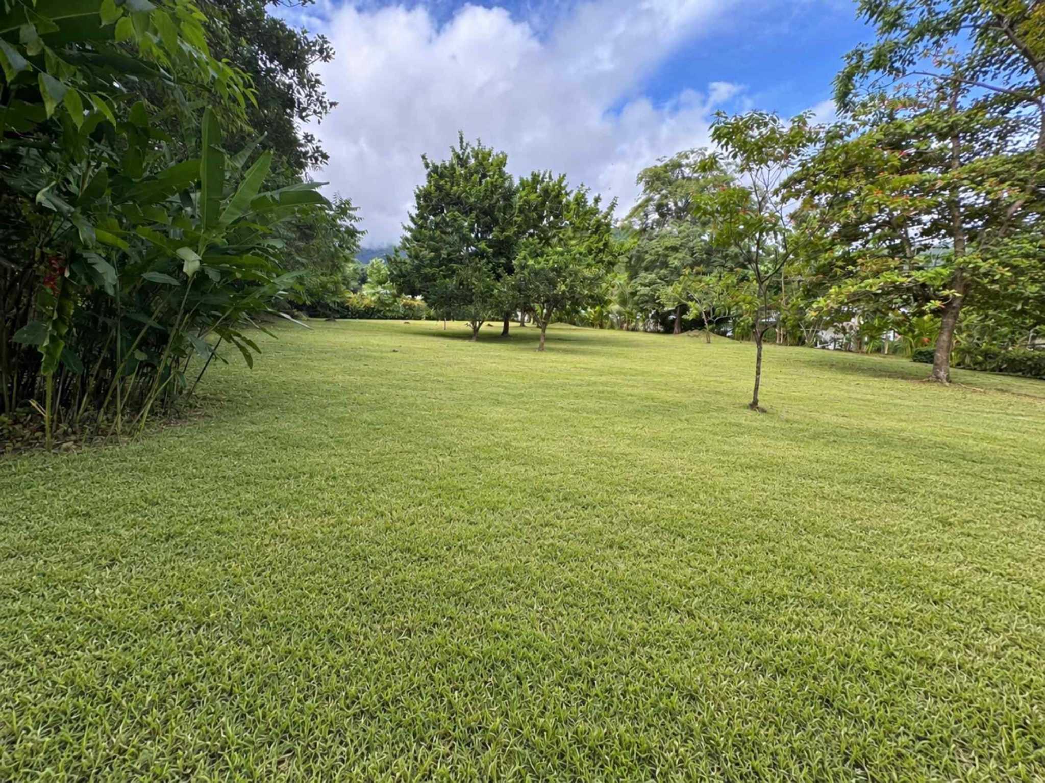 73959-4 Spacious Flat 1500 m2+ Building Lot in Ojochal Costa Rica