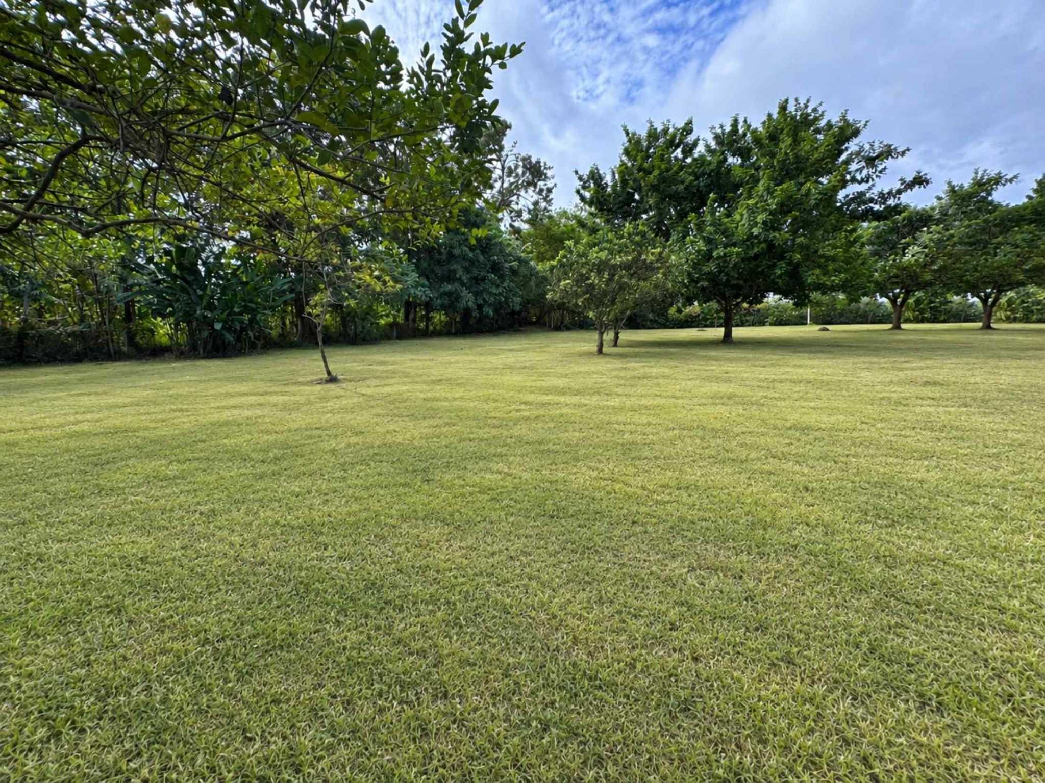 73959-5 Spacious Flat 1500 m2+ Building Lot in Ojochal Costa Rica