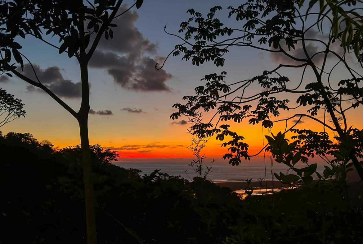 1170