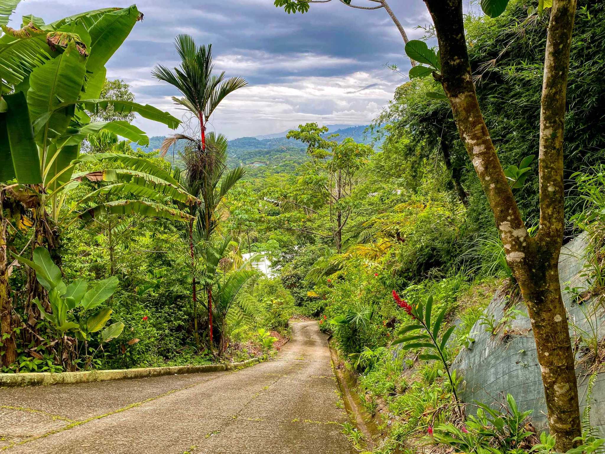 Charming 2-Bedroom House with Ocean Views, Private Pool & Jungle Surroundings in Ojochal Costa Rica