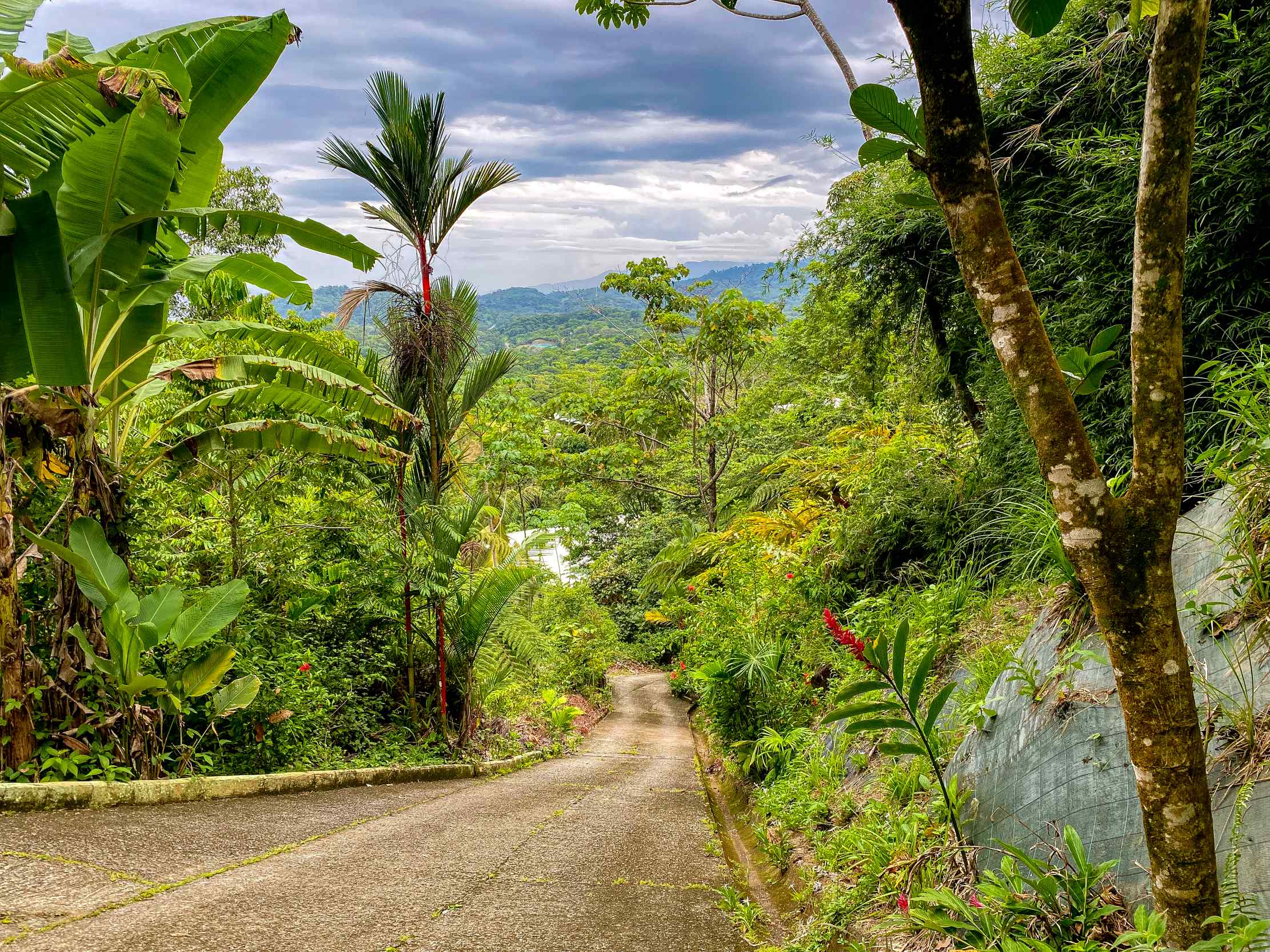 73992-7 Charming 2-Bedroom House with Ocean Views, Private Pool & Jungle Surroundings in Ojochal Costa Rica