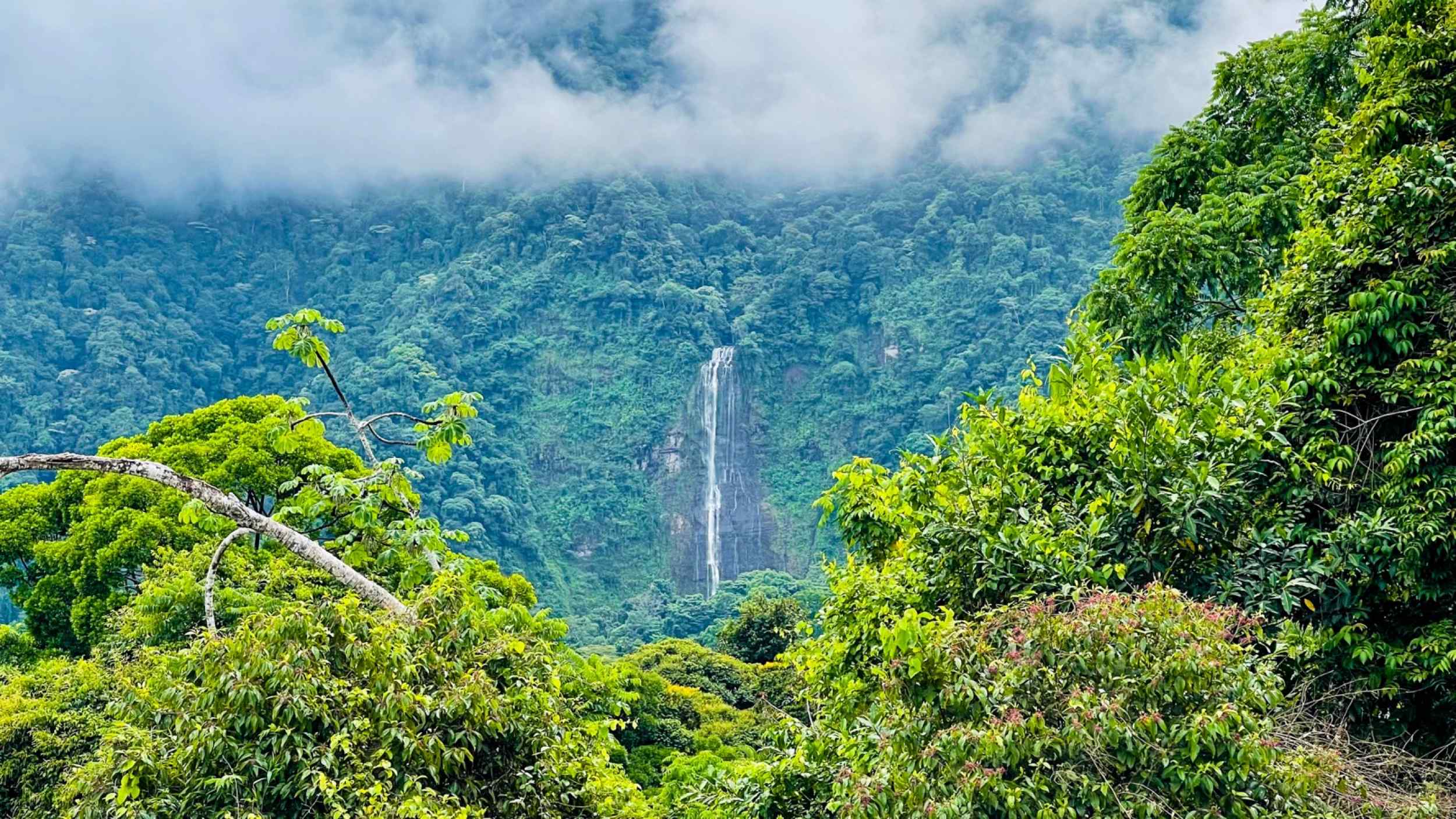 74001-2 Spectacular 3-Bedroom Mountain Estate with Waterfall Views, Partial Ocean Views & Private Pool in Tinamastes Costa Rica