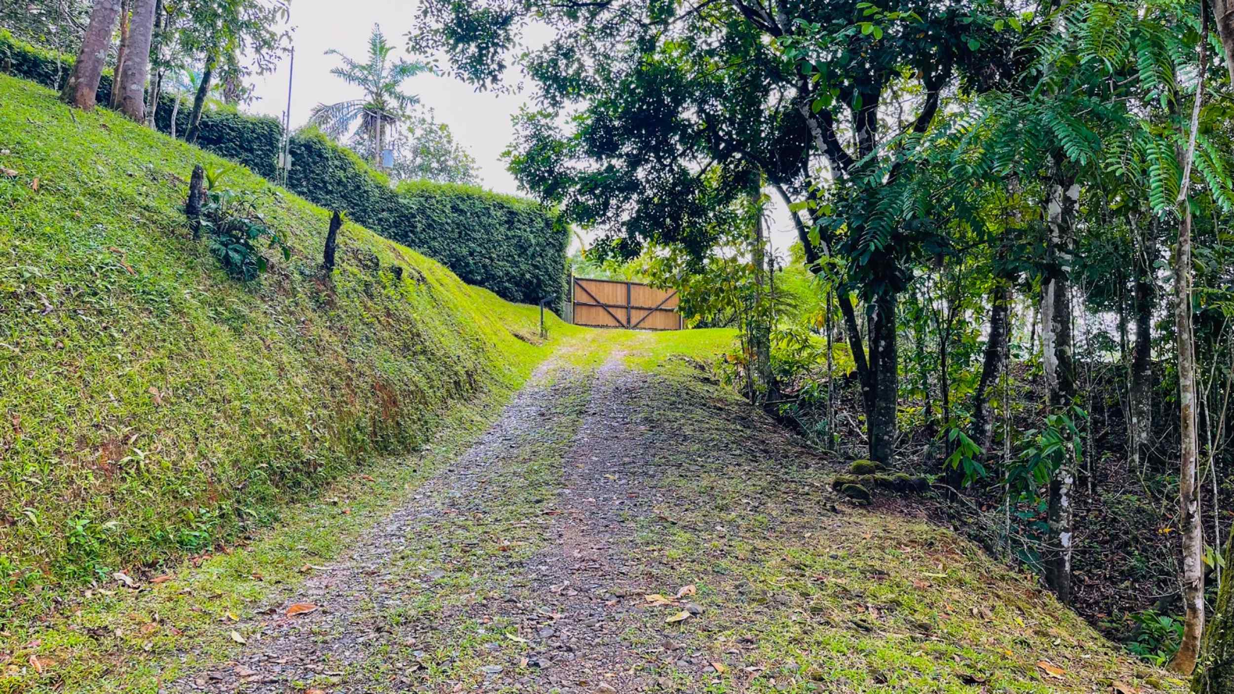 74001-44 Spectacular 3-Bedroom Mountain Estate with Waterfall Views, Partial Ocean Views & Private Pool in Tinamastes Costa Rica
