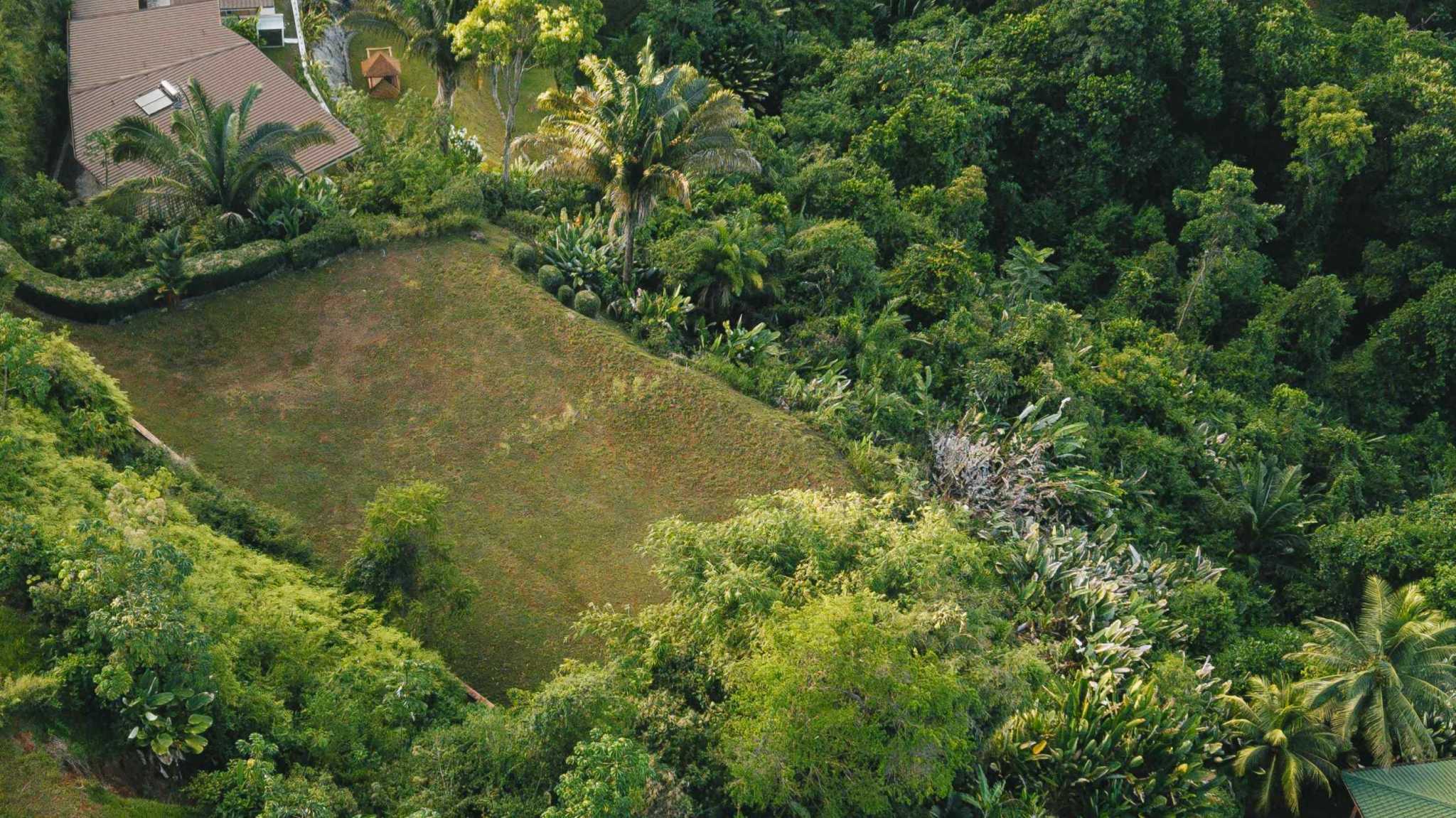 Spectacular 180° Ocean View Multi-Acre Building Lot in Uvita Costa Rica