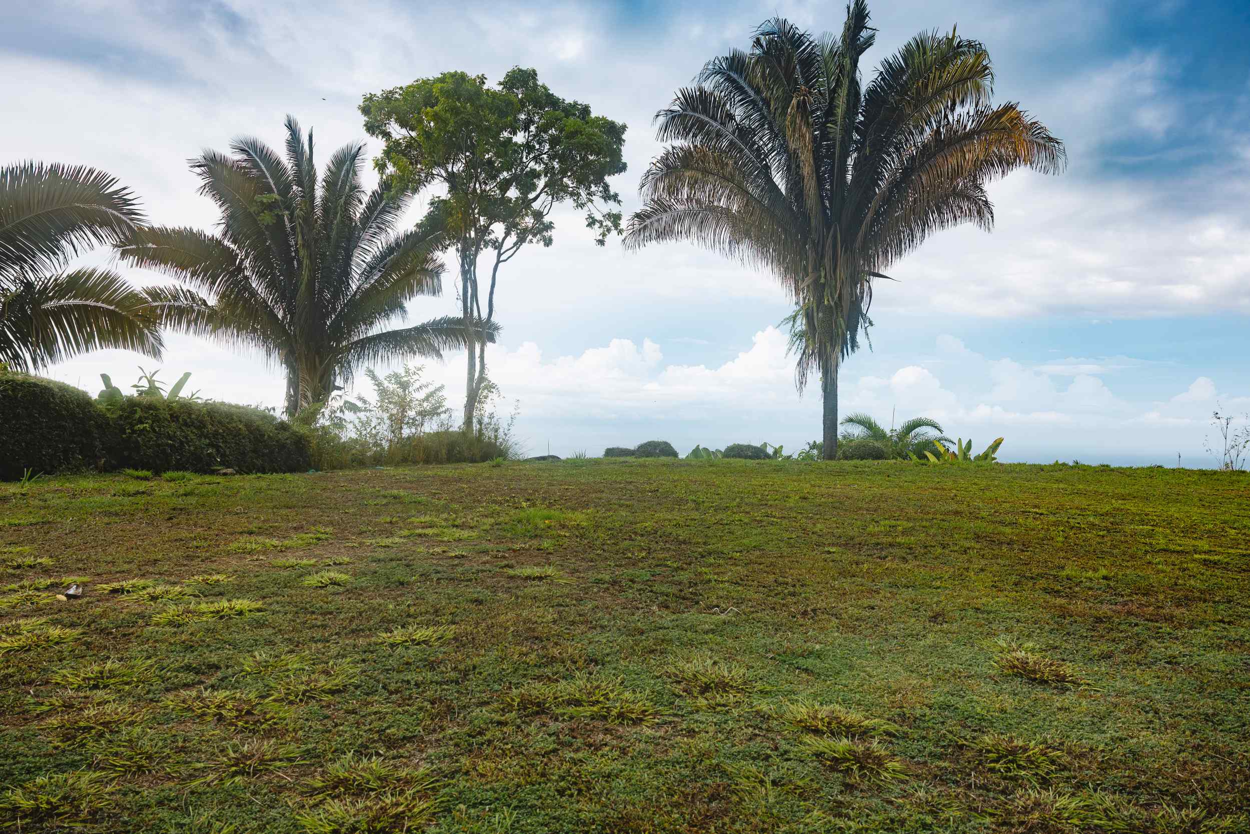 74383-10 Spectacular 180° Ocean View Multi-Acre Building Lot in Uvita Costa Rica