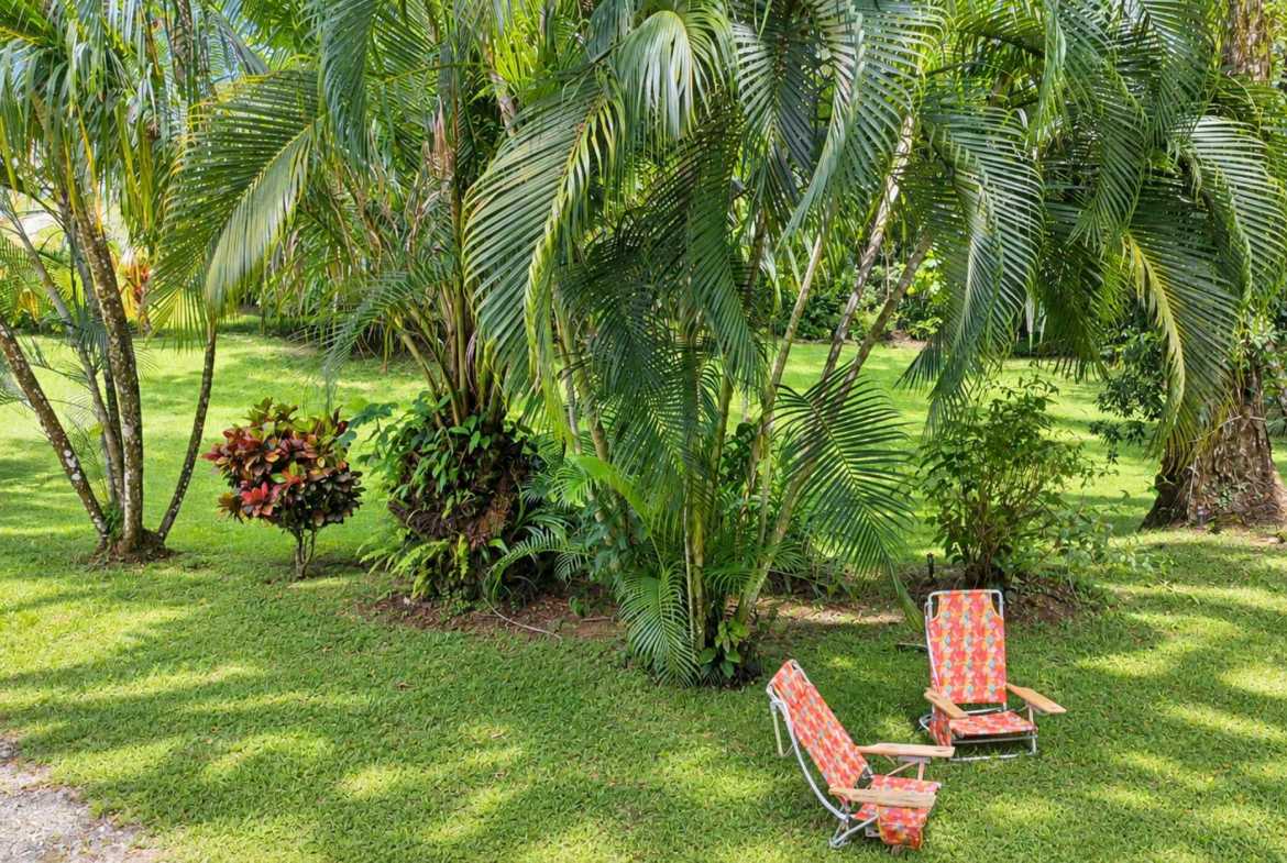 2-Bedroom Riverside Pine Cabin with River & Jungle Views, photo 14 of 24
