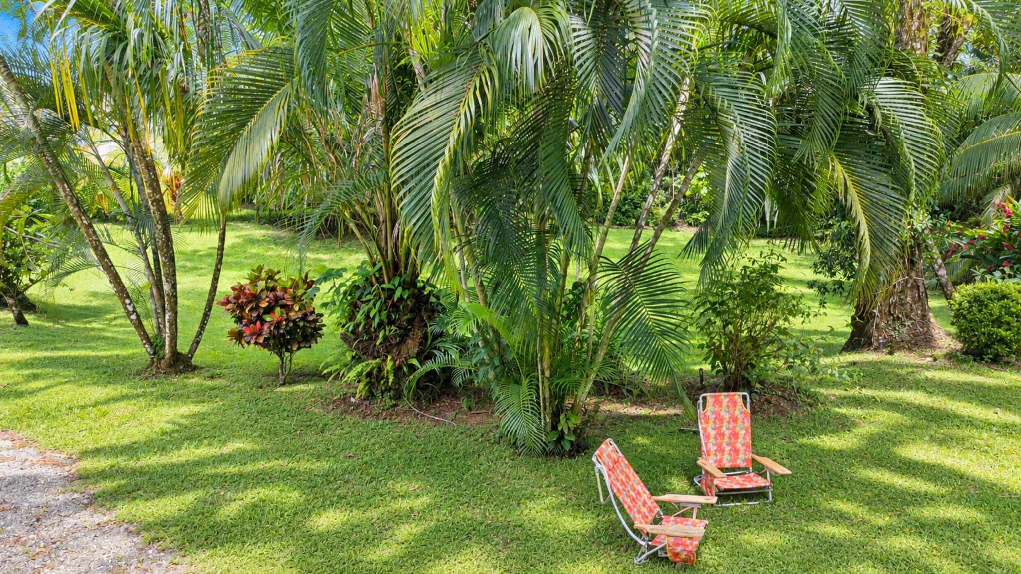 74511-11 Charming 2-Bedroom Riverside Pine Cabin with River & Jungle Views in Uvita Costa Rica