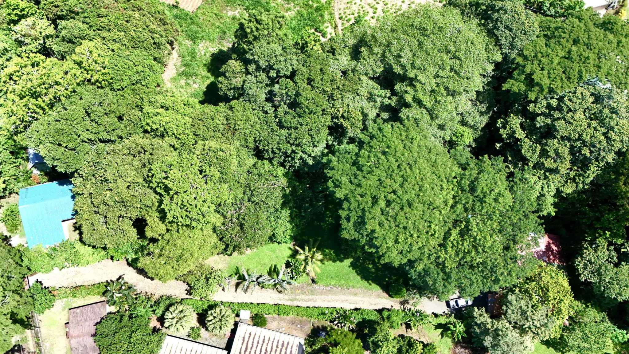 74511-42 Charming 2-Bedroom Riverside Pine Cabin with River & Jungle Views in Uvita Costa Rica