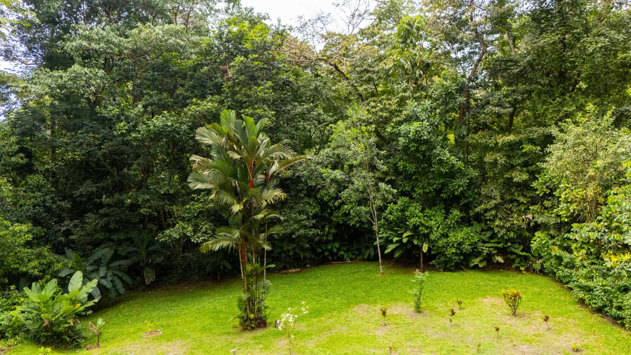Charming 2-Bedroom Colonial-Style Home with Private Pool & Creek in Ojochal Costa Rica
