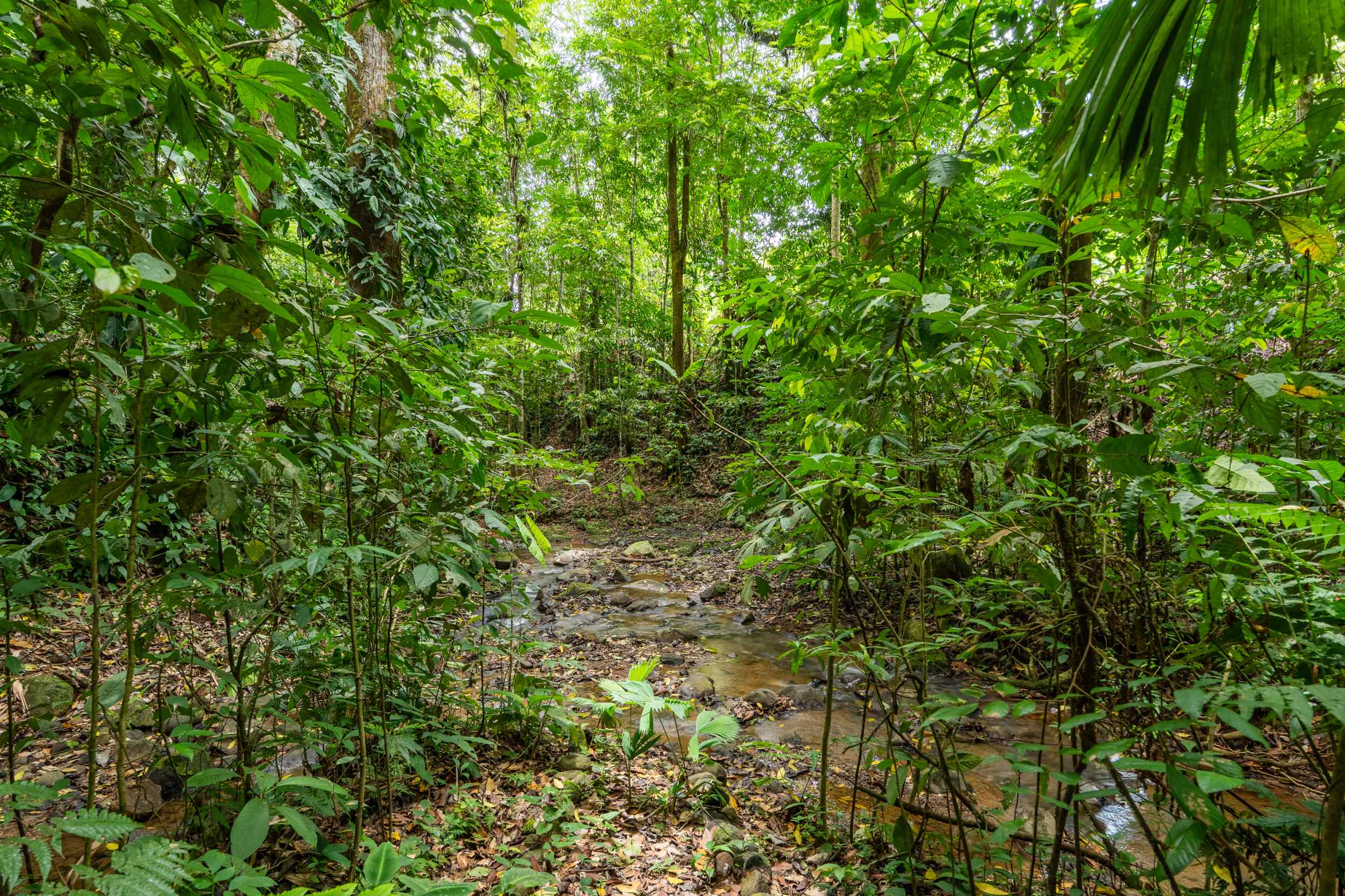 74507-20 Charming 2-Bedroom Colonial-Style Home with Private Pool & Creek in Ojochal Costa Rica