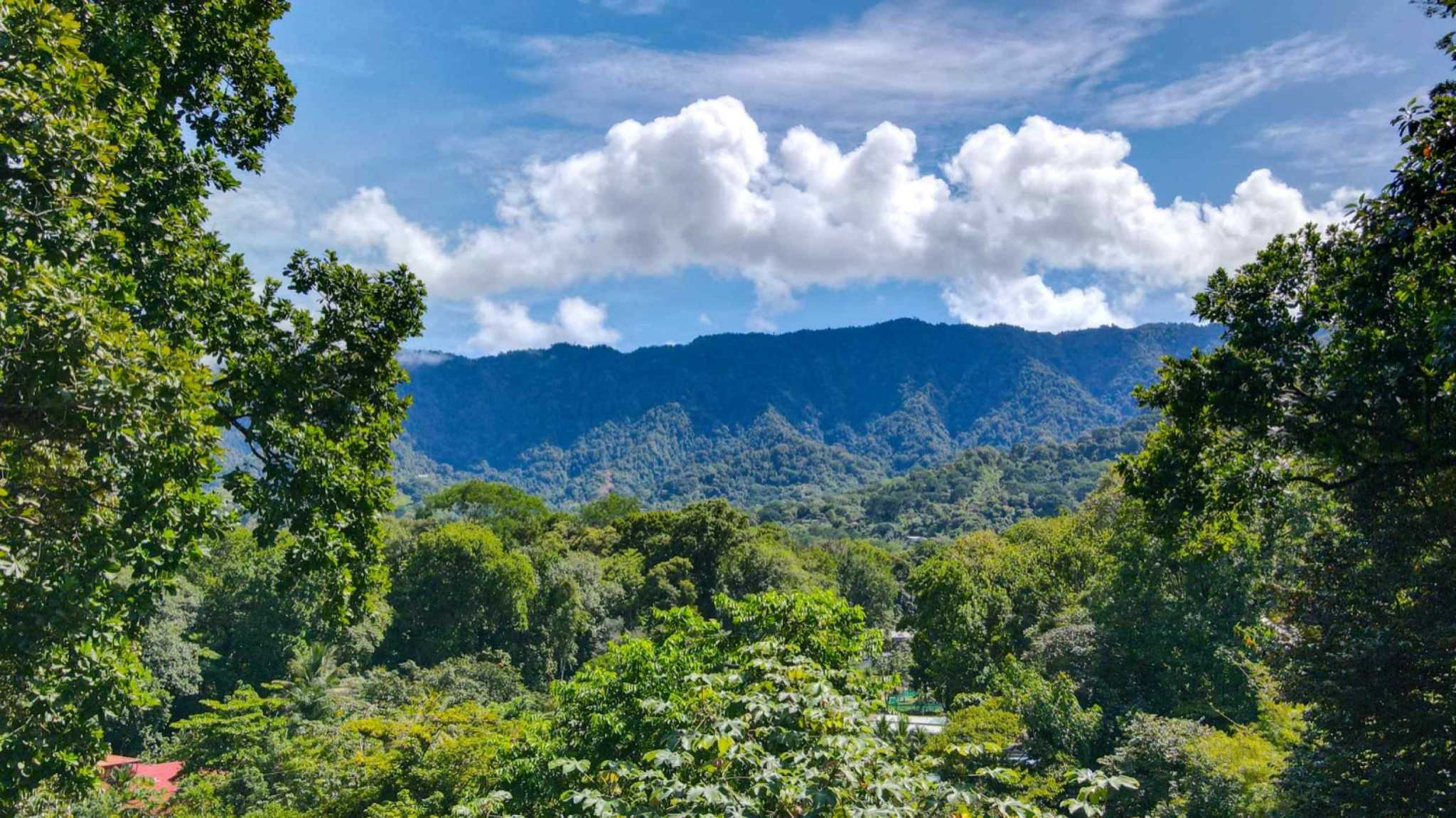 74771-2 Charming 3-Bedroom Income Property with Guest House & Mountain Views in Ojochal Costa Rica