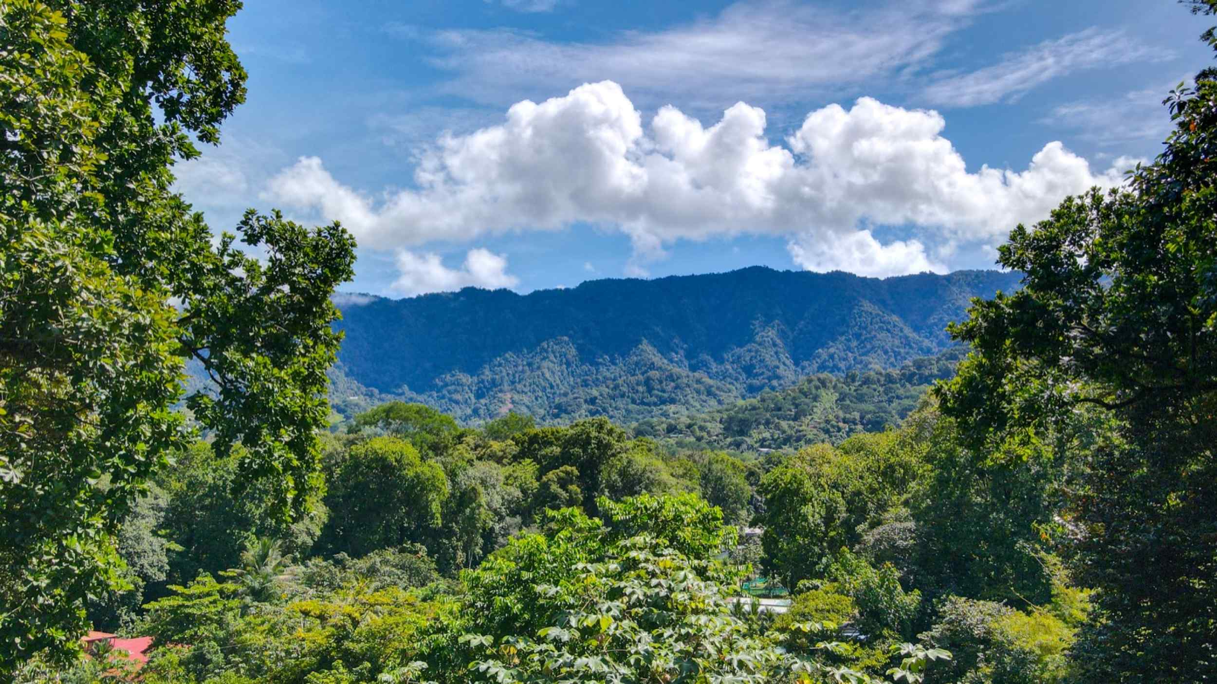74771-2 Charming 3-Bedroom Income Property with Guest House & Mountain Views in Ojochal Costa Rica
