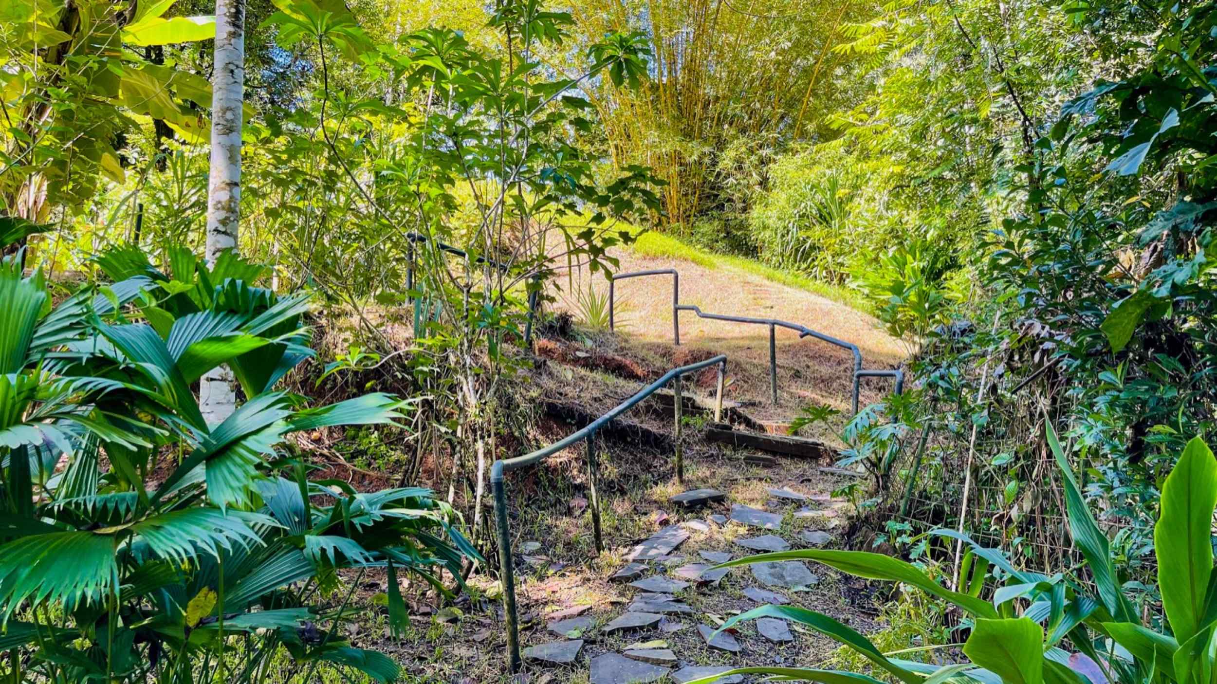 74771-38 Charming 3-Bedroom Income Property with Guest House & Mountain Views in Ojochal Costa Rica