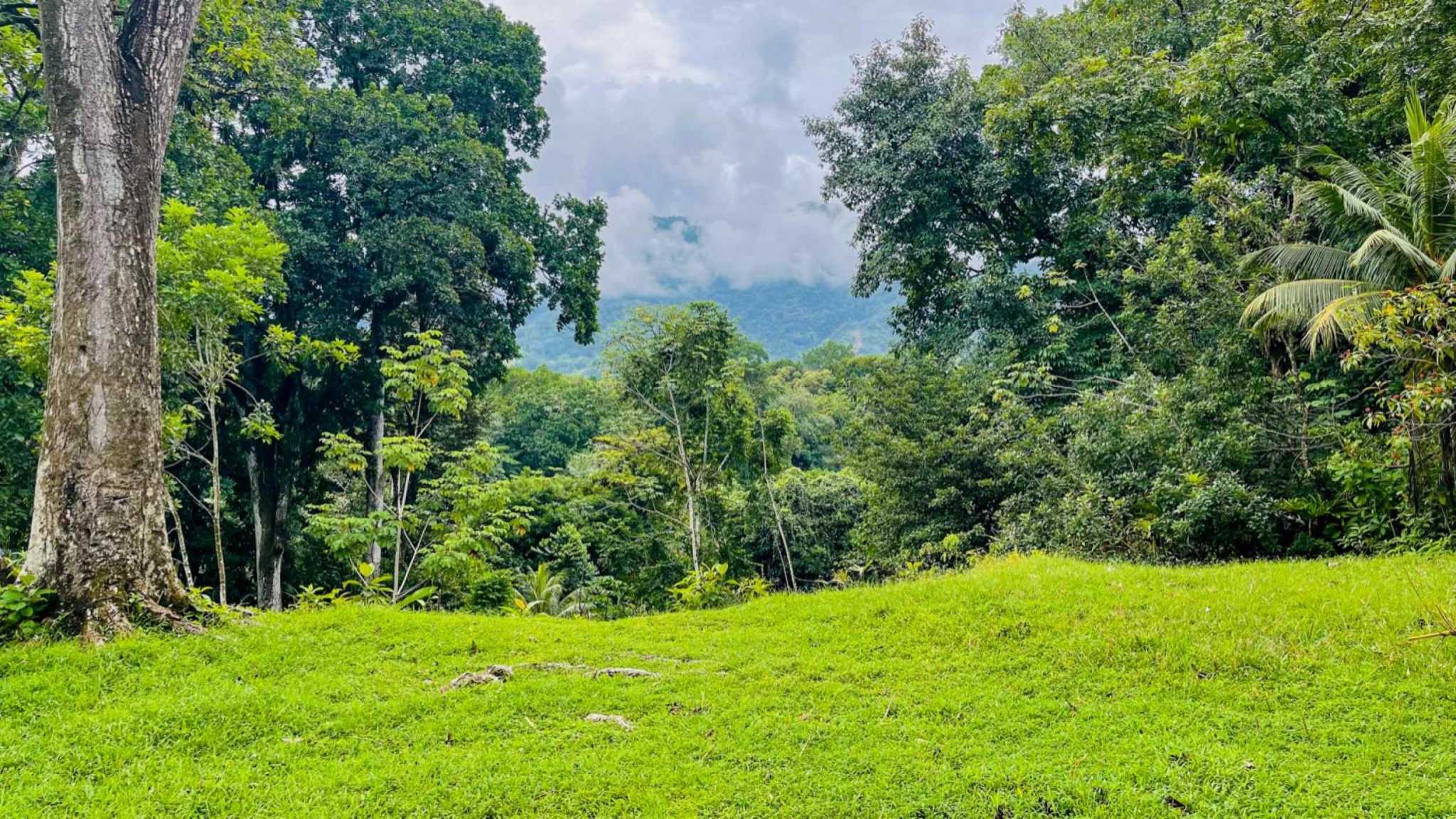 74771-39 Charming 3-Bedroom Income Property with Guest House & Mountain Views in Ojochal Costa Rica