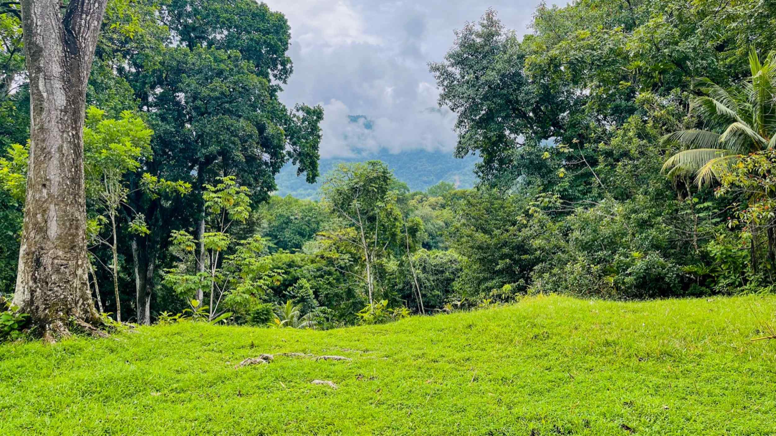 74771-39 Charming 3-Bedroom Income Property with Guest House & Mountain Views in Ojochal Costa Rica