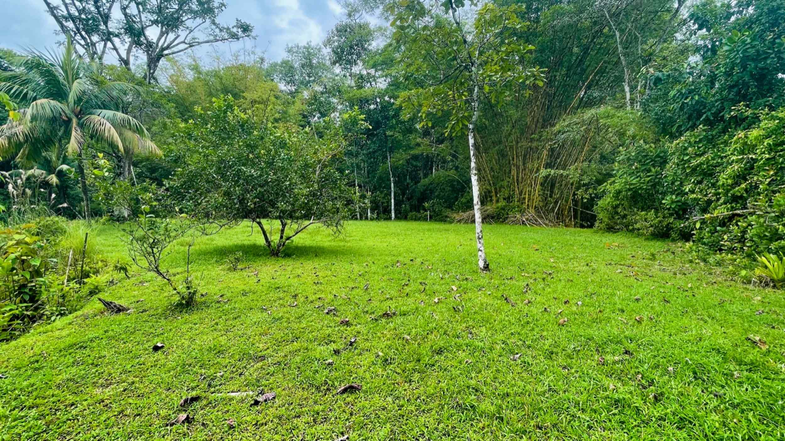 74771-40 Charming 3-Bedroom Income Property with Guest House & Mountain Views in Ojochal Costa Rica