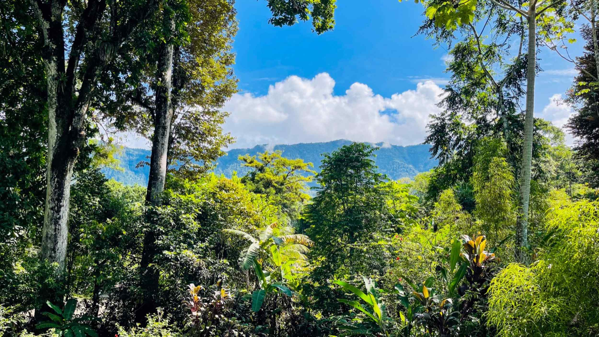 74771-43 Charming 3-Bedroom Income Property with Guest House & Mountain Views in Ojochal Costa Rica