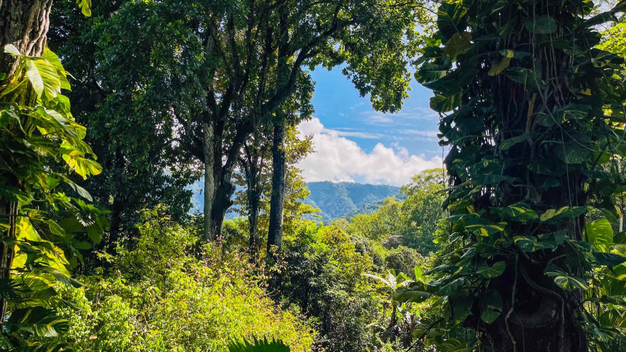 74771-51 Charming 3-Bedroom Income Property with Guest House & Mountain Views in Ojochal Costa Rica