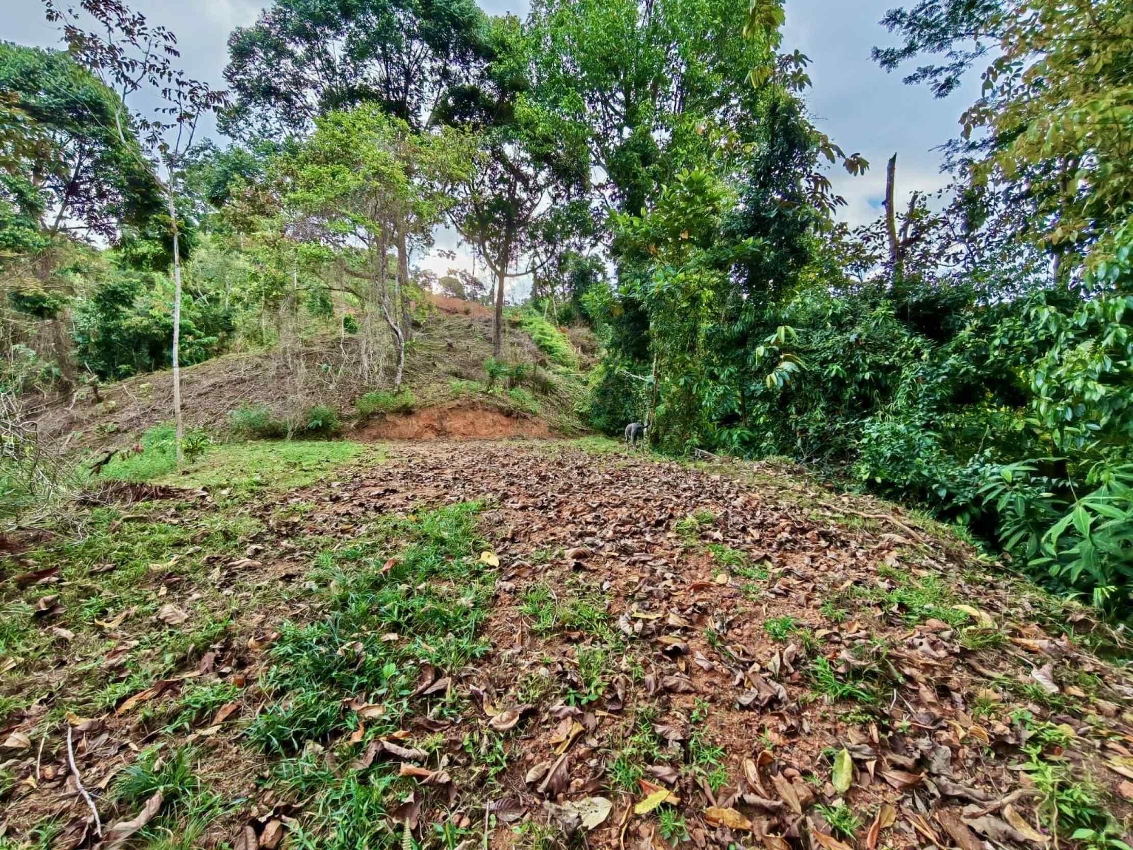 Spectacular Ocean View 24+ Acre Building Lot with Legal Water in Dominical Costa Rica